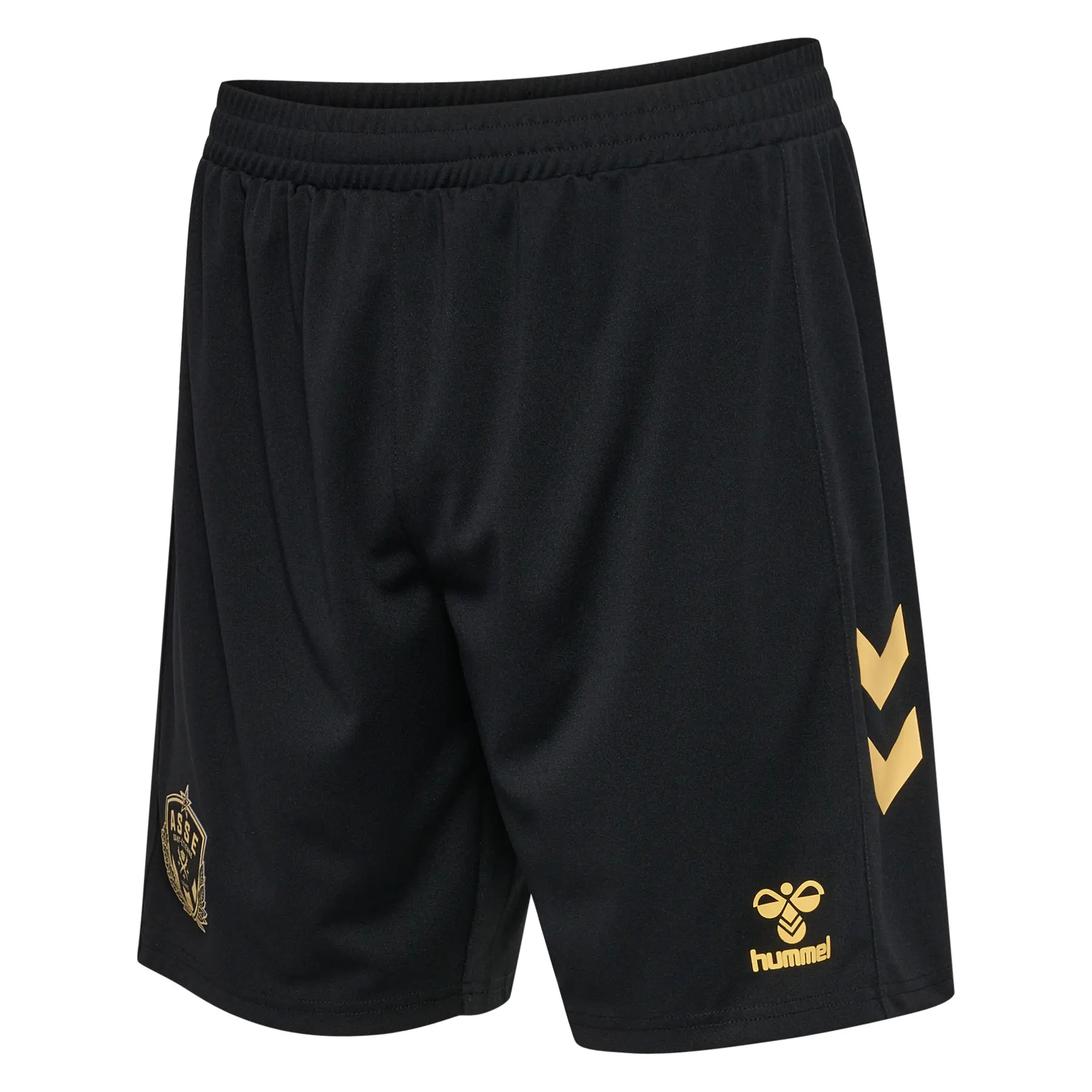 Korte derde ASSE 2024/25