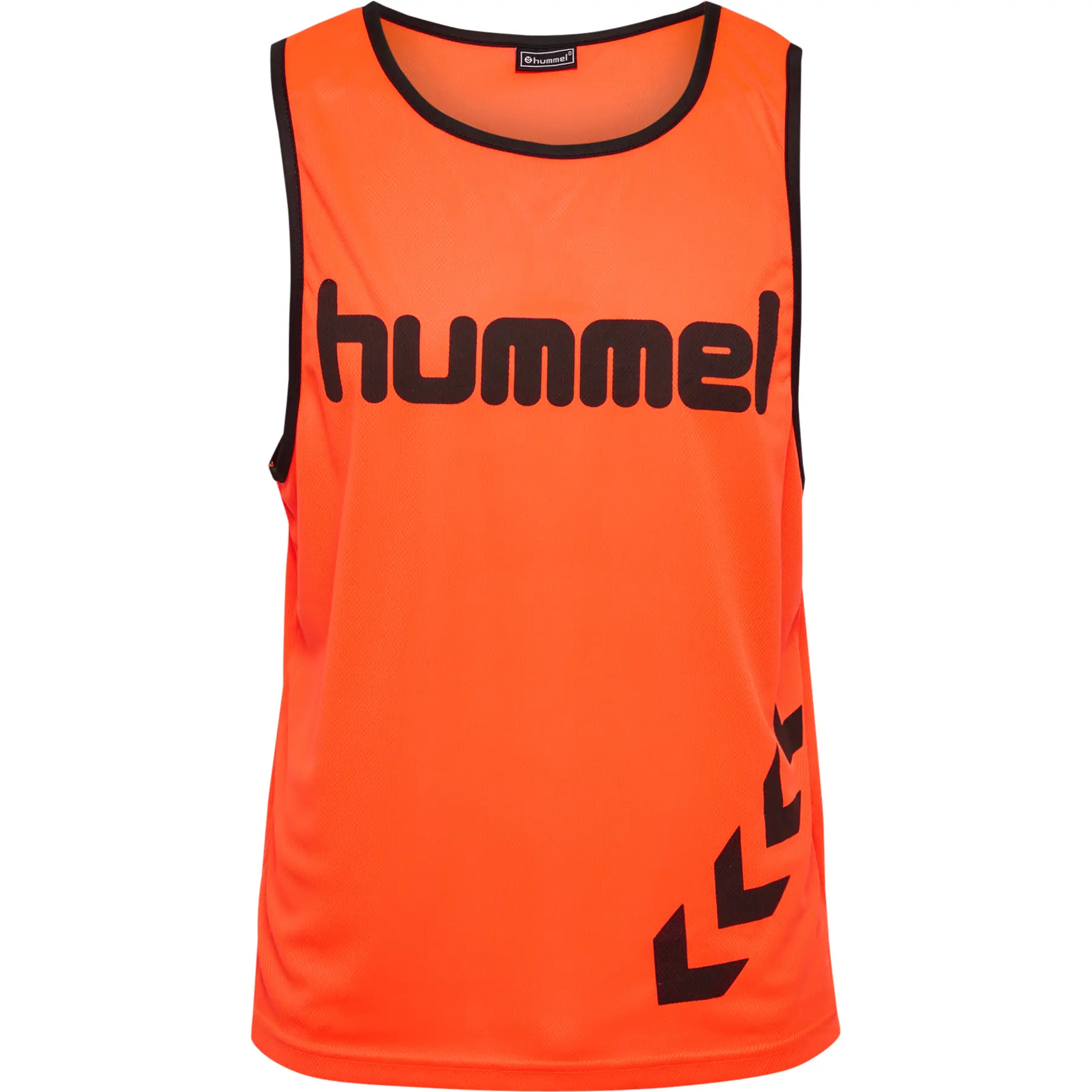 Kazuifel Hummel Training Fundamental