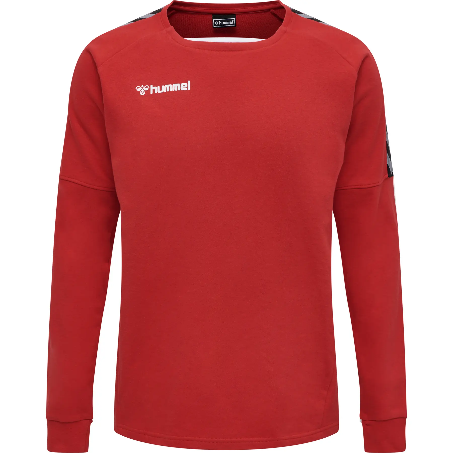 Sweat shirt hummel Sweat shirt Authentic Training EU - vue 2