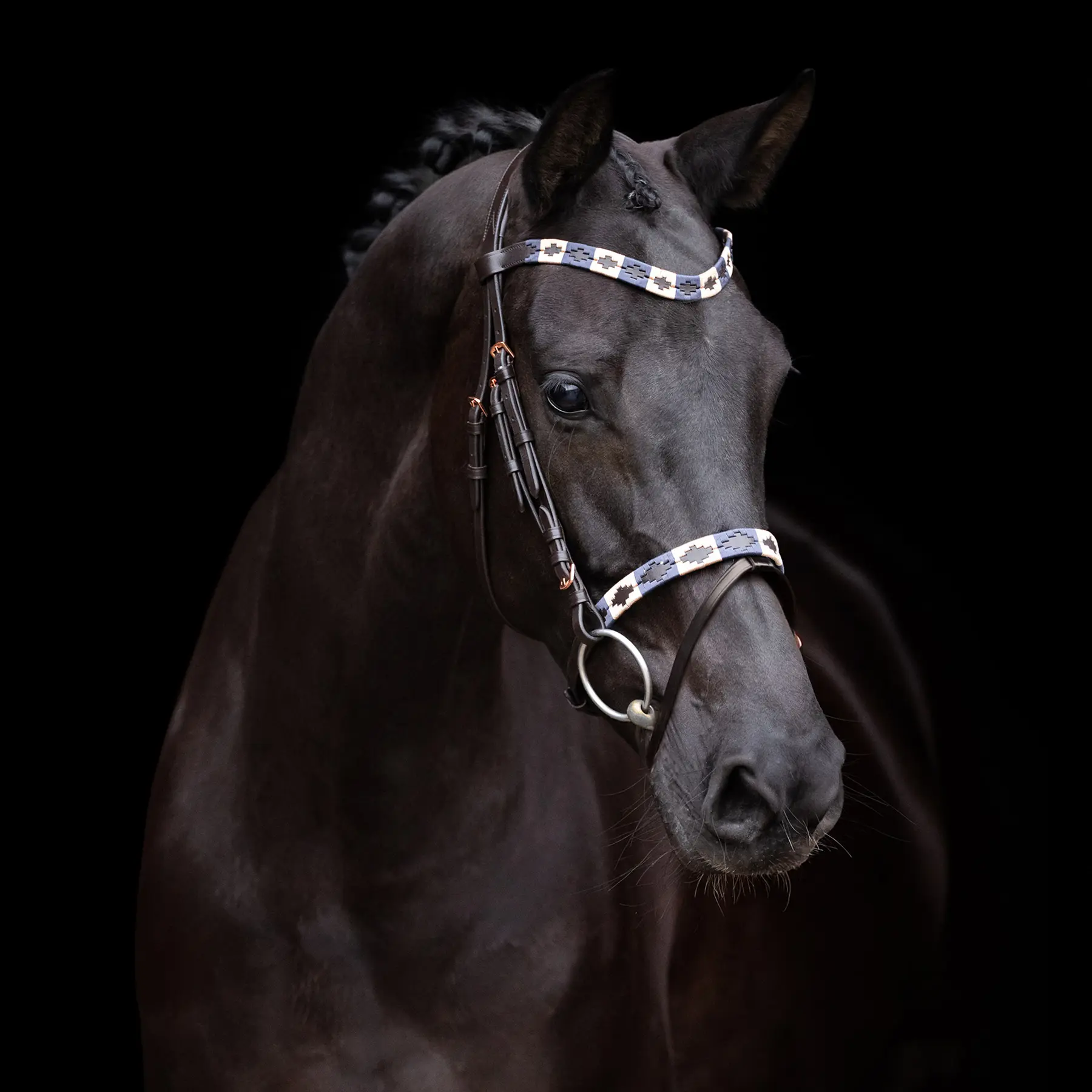Bridon d'équitation HV Polo Chaya
