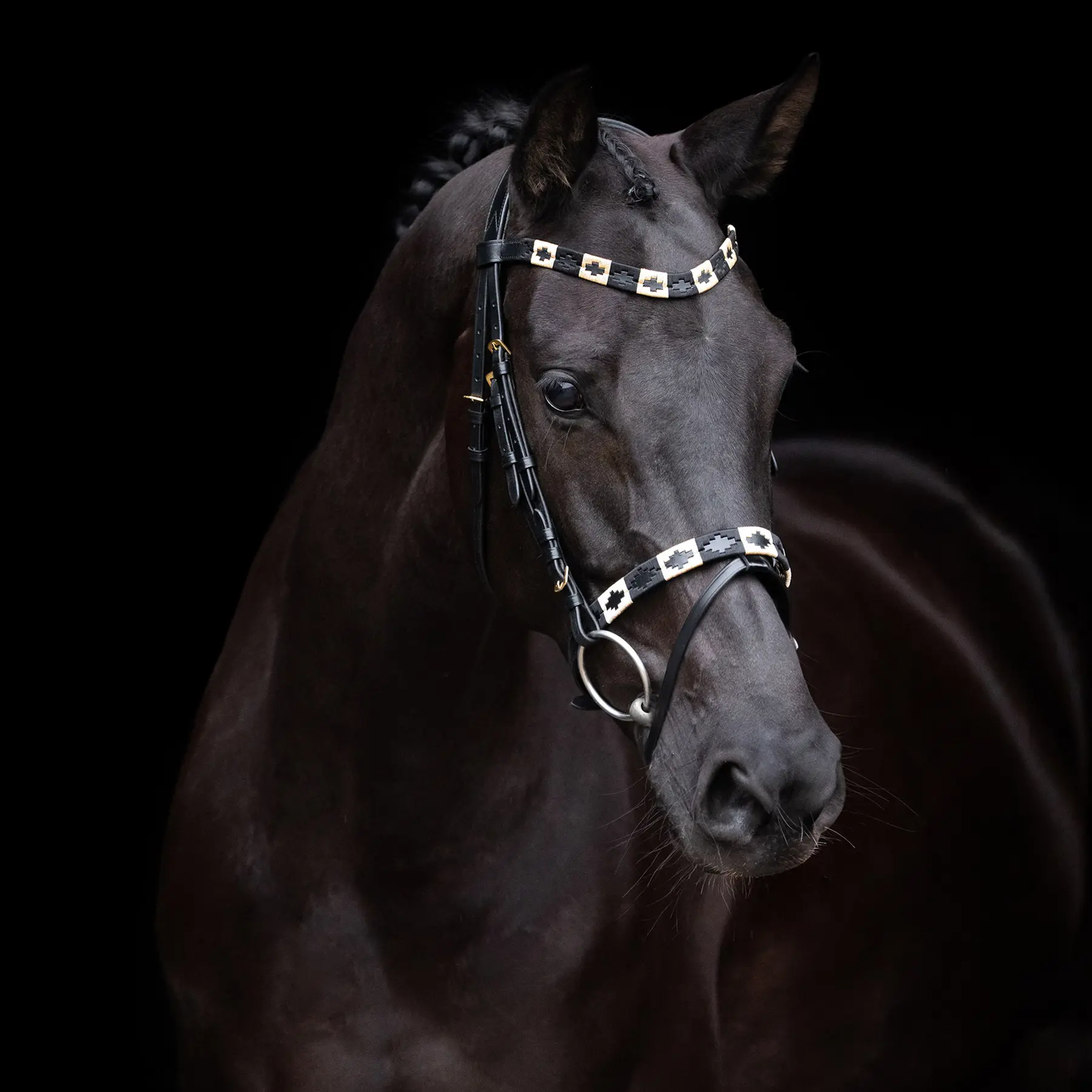 Riding bridle HV Polo Chaya