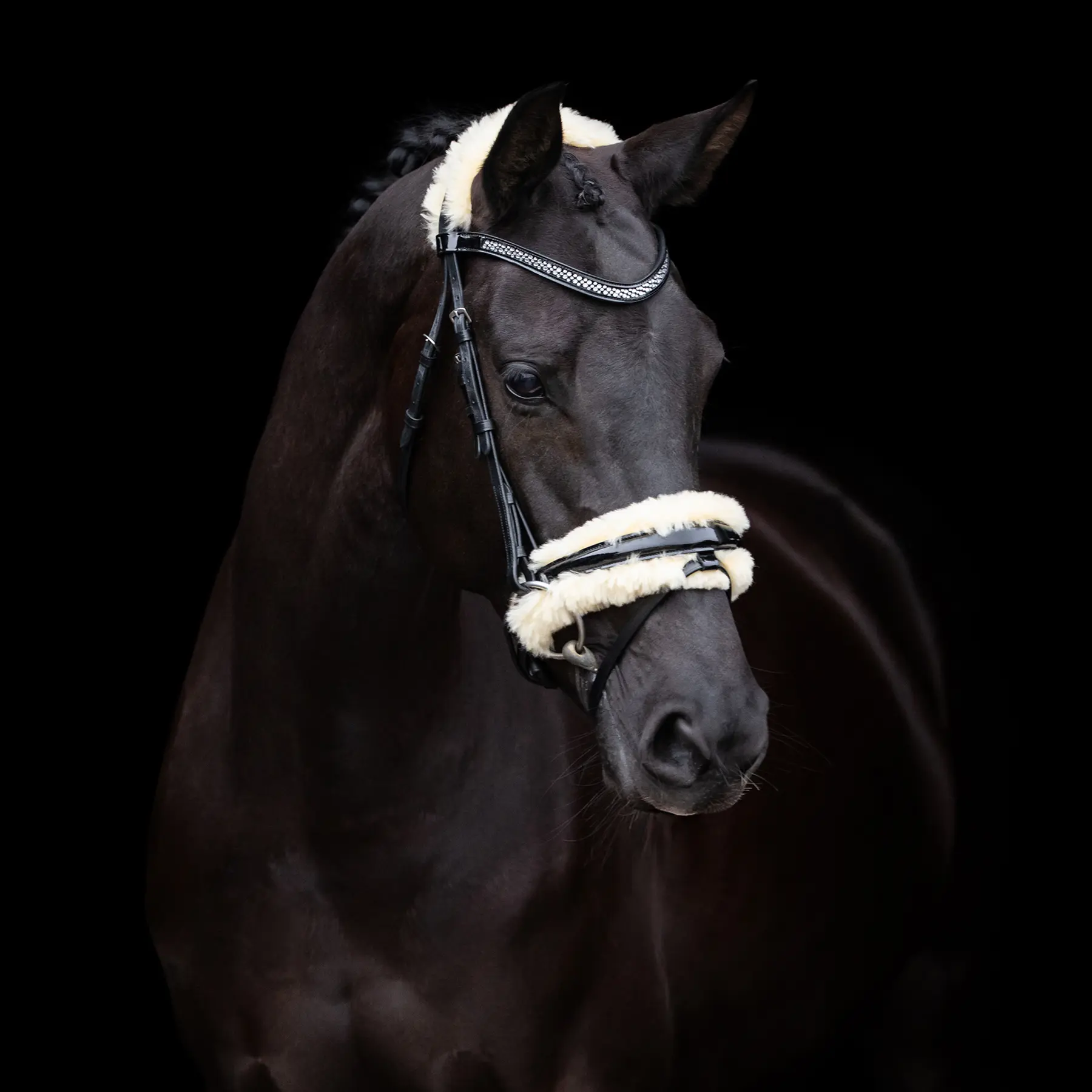 Bridon d'équitation HV Polo Kate