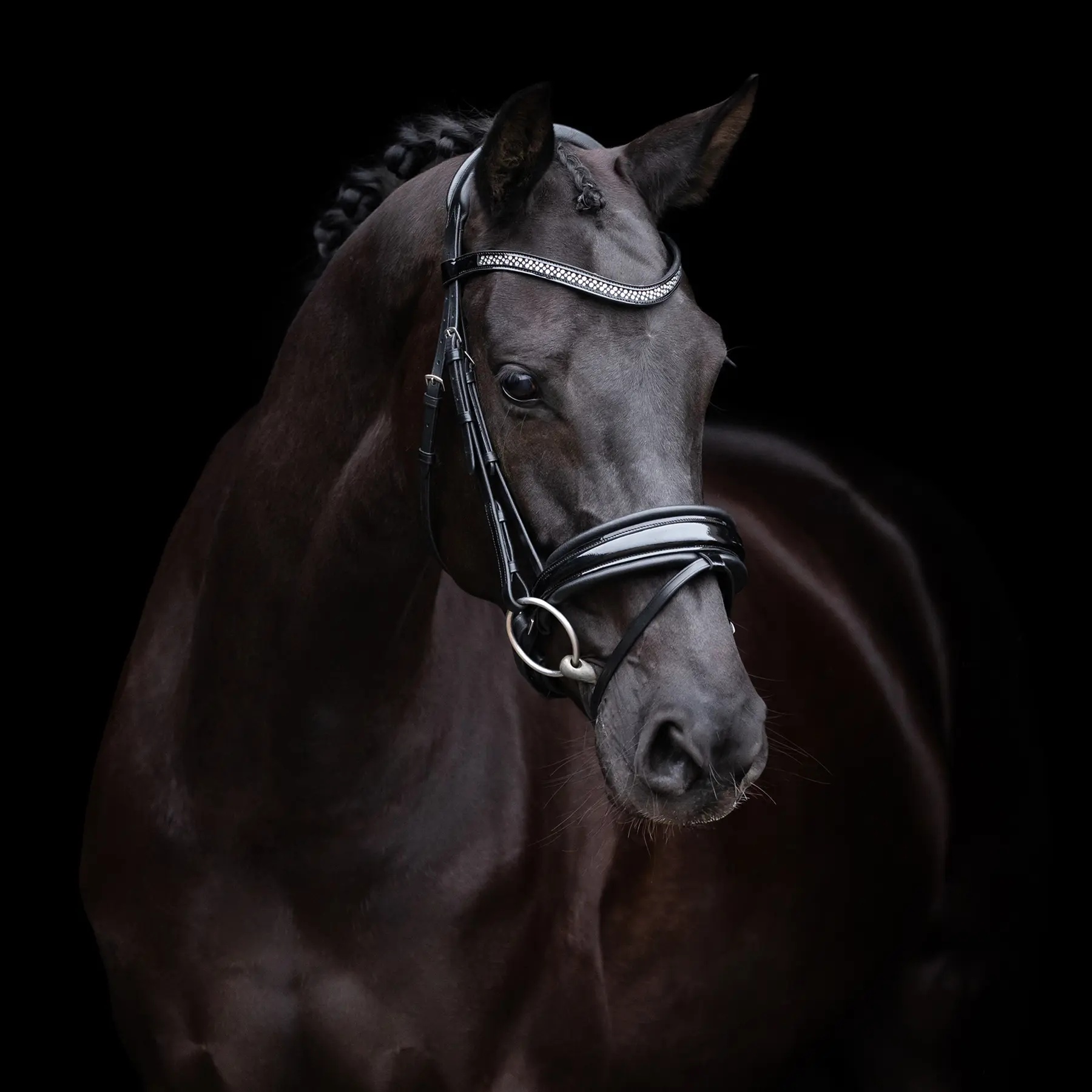 Bridon d'équitation HV Polo Diana