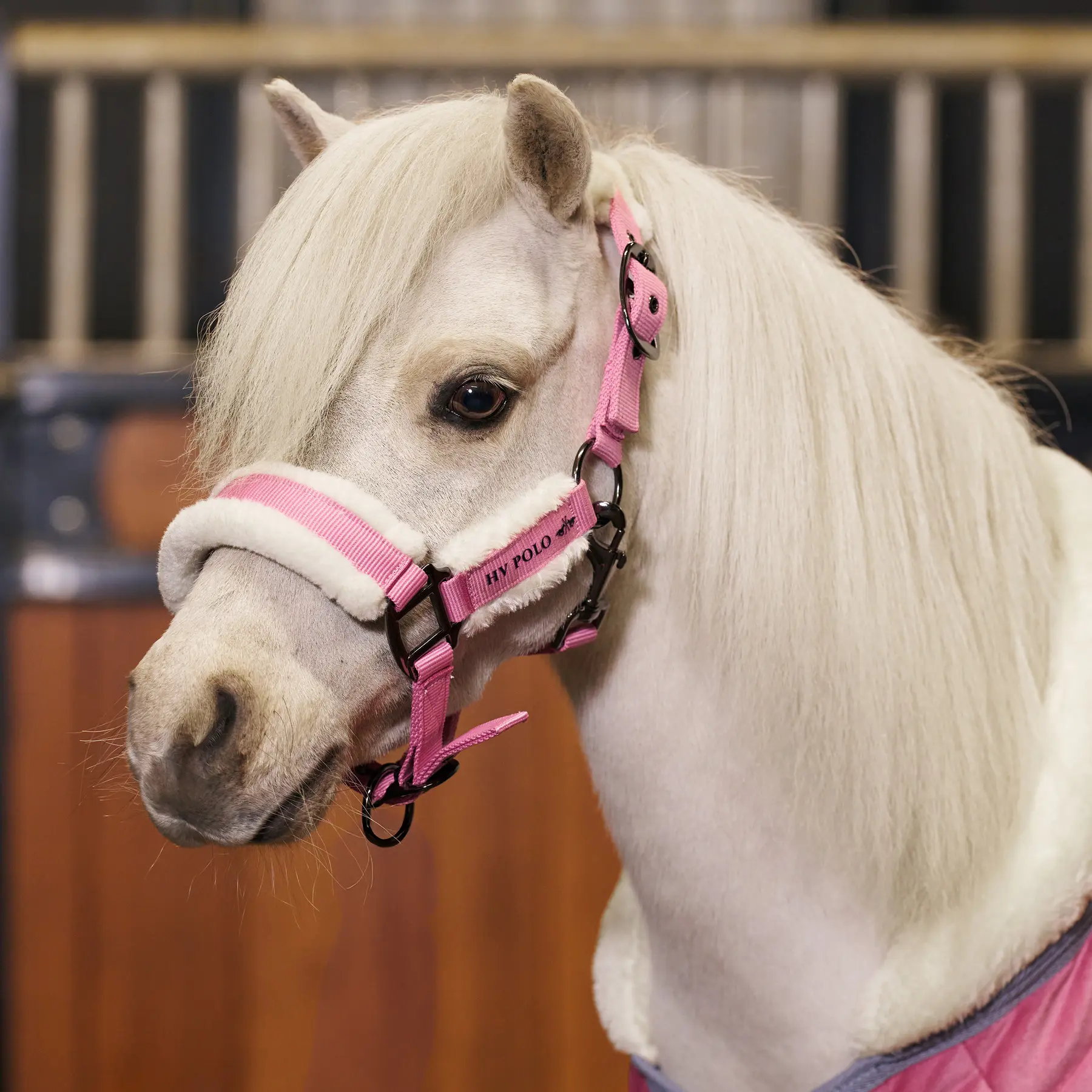 Nylon hoofdstel voor paard HV Polo Sacha