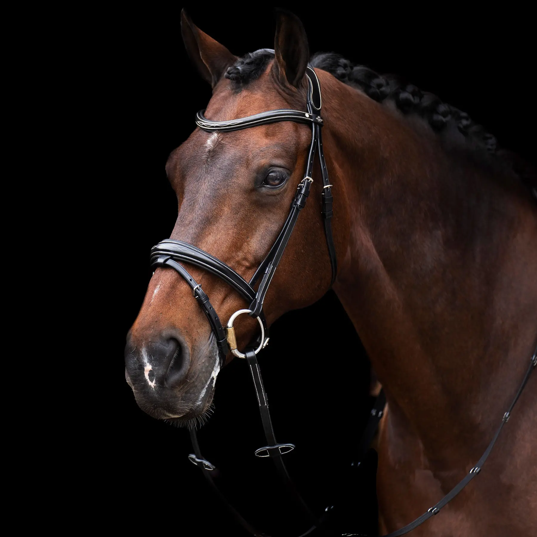 Riding Bridle + Noseband HV Polo Legacy