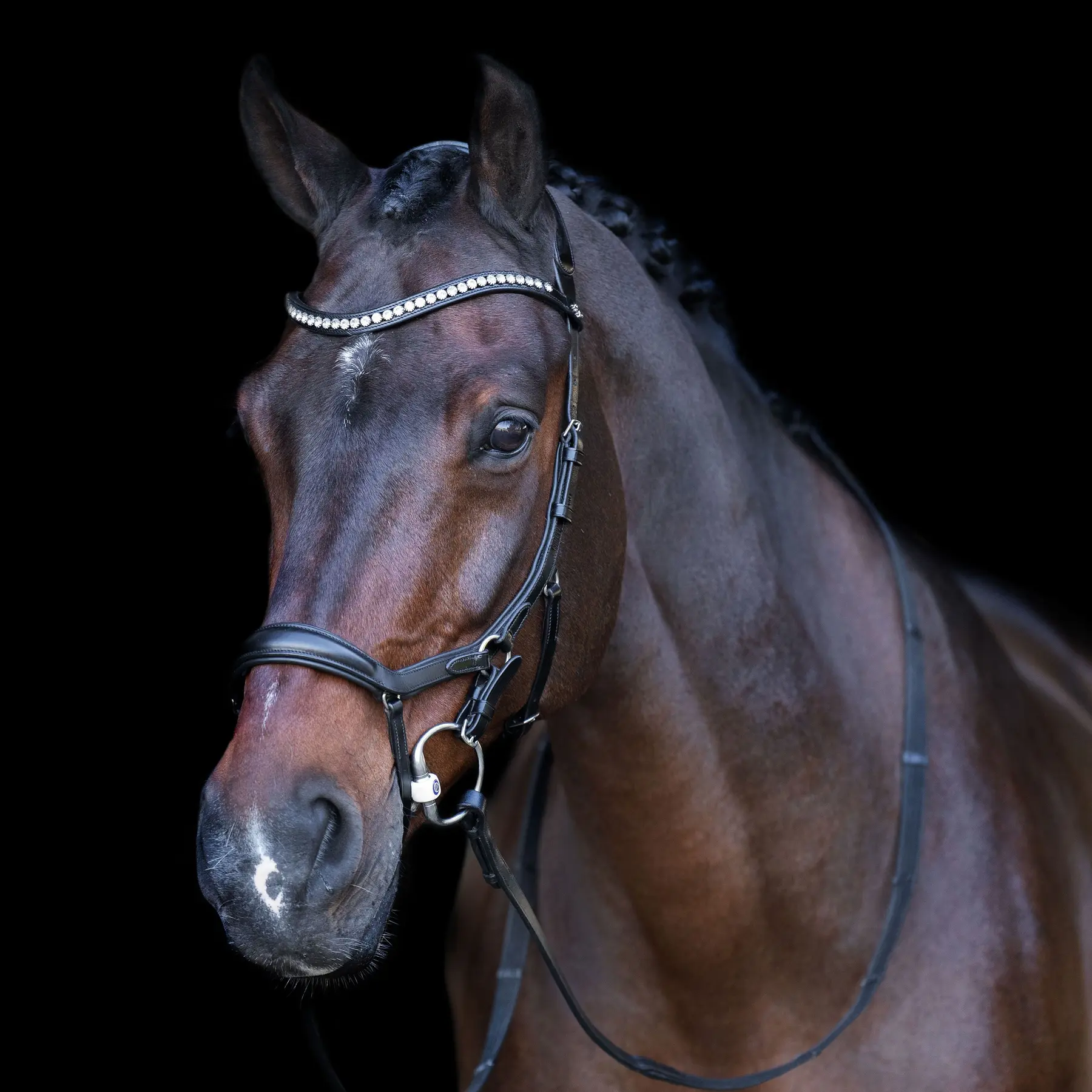 Riding bridle HV Polo Legacy Anatomique Deluxe