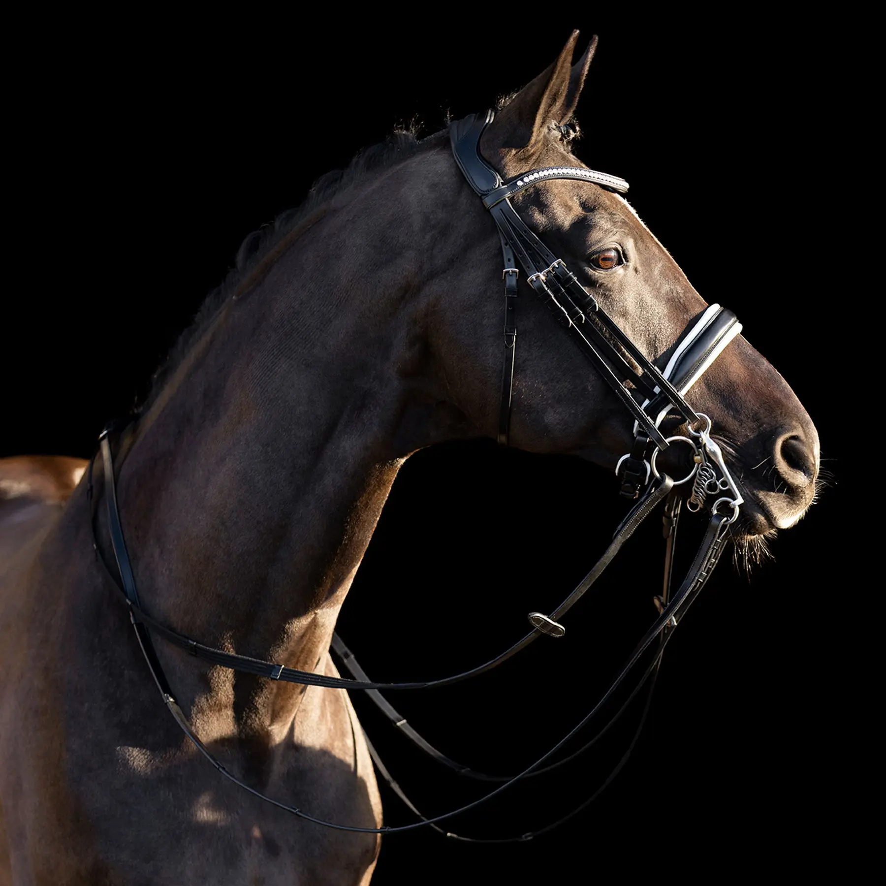 Bridles HV Polo Legacy deluxe