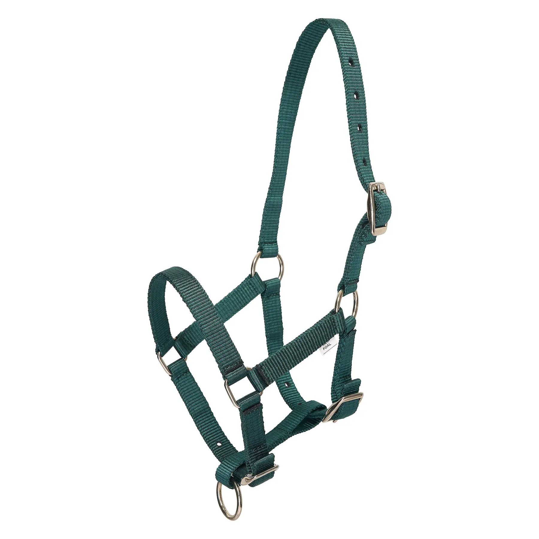 Licol pour cheval en nylon HV Polo Nena