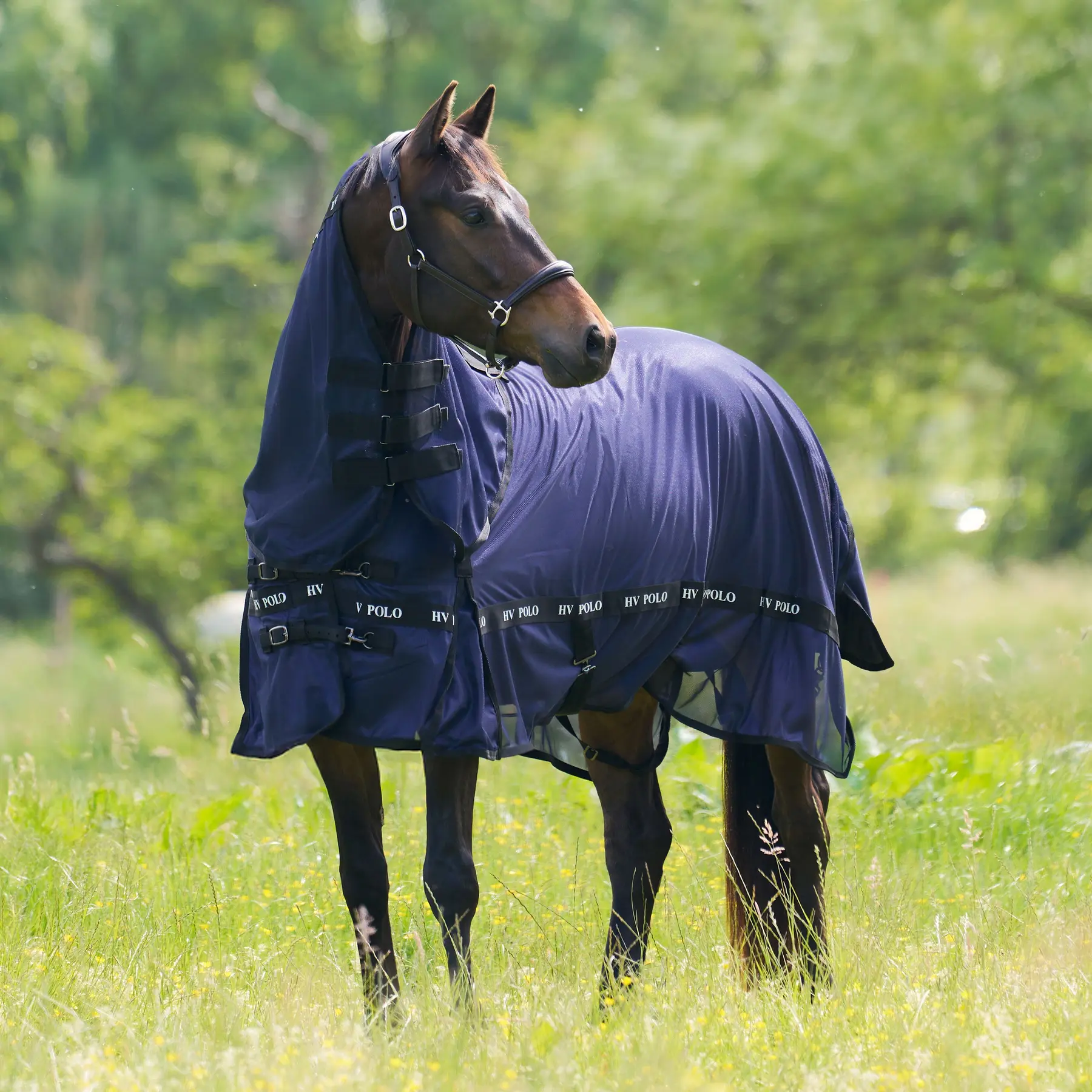 Fly Blanket HV Polo Nena