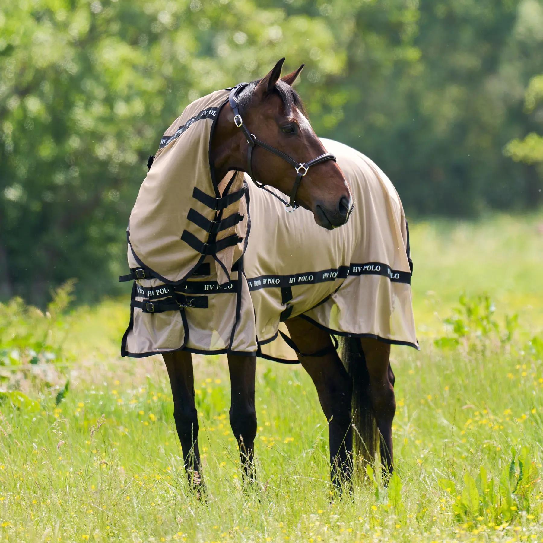 Coperta anti-mosche per cavalli HV Polo Nena