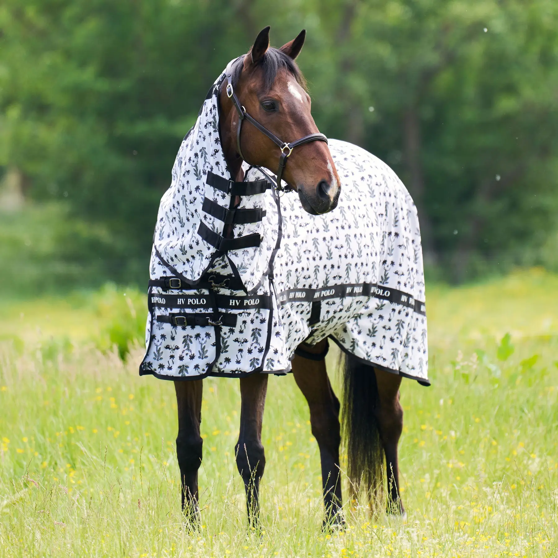 Coperta anti-mosche per cavalli HV Polo Nena AOP