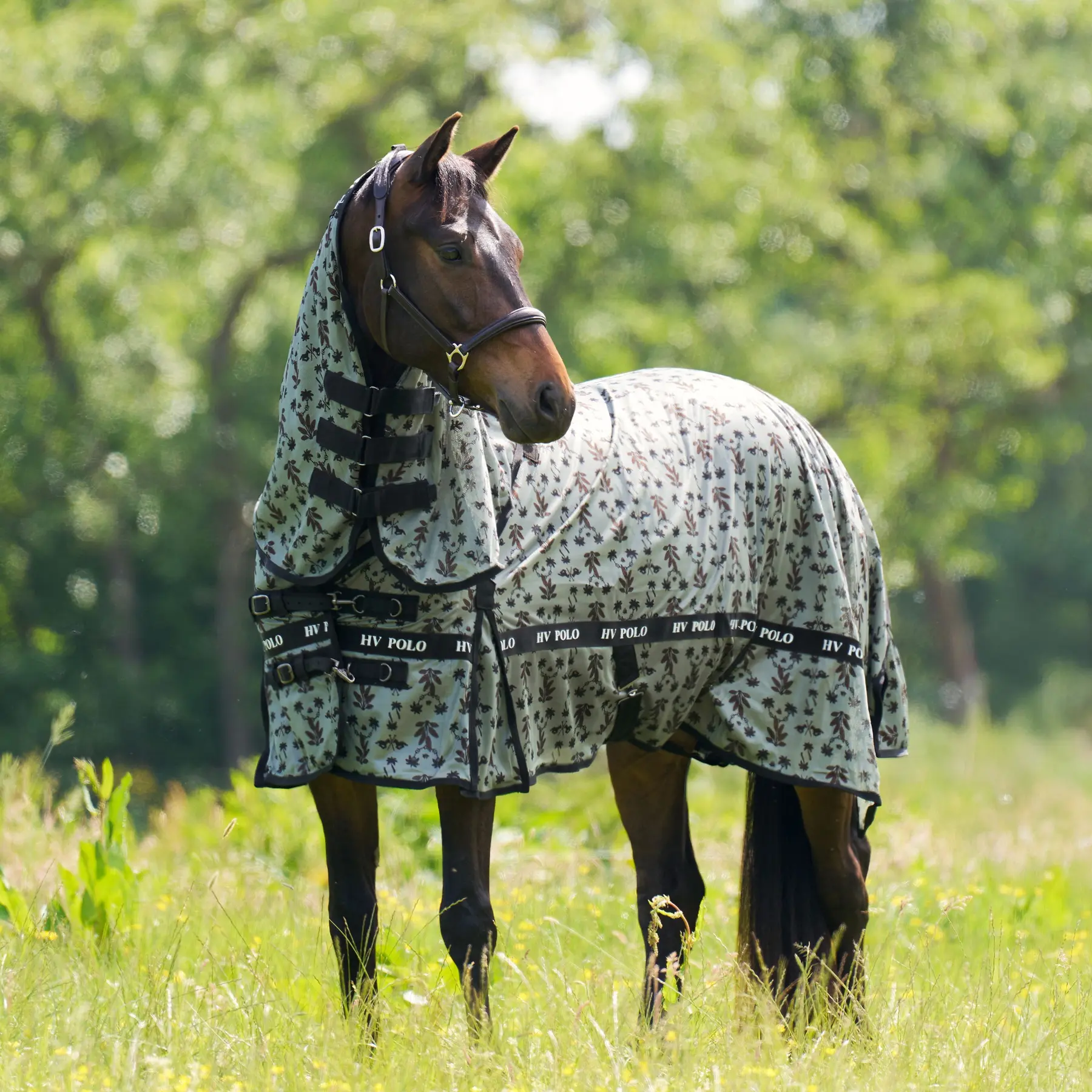 Fly Blanket HV Polo Nena AOP