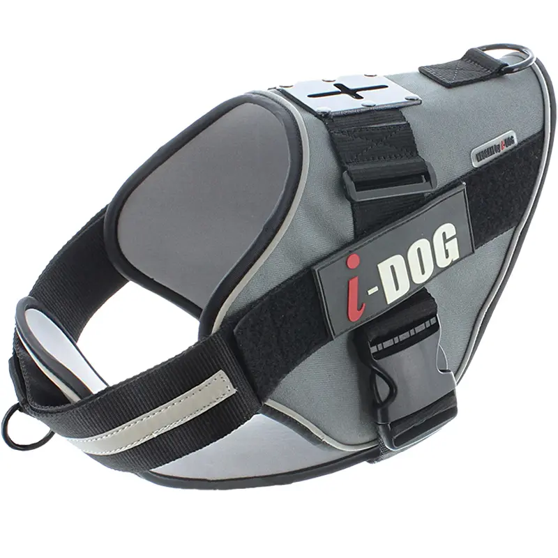 Hundegeschirr I-DOG NeoCAM