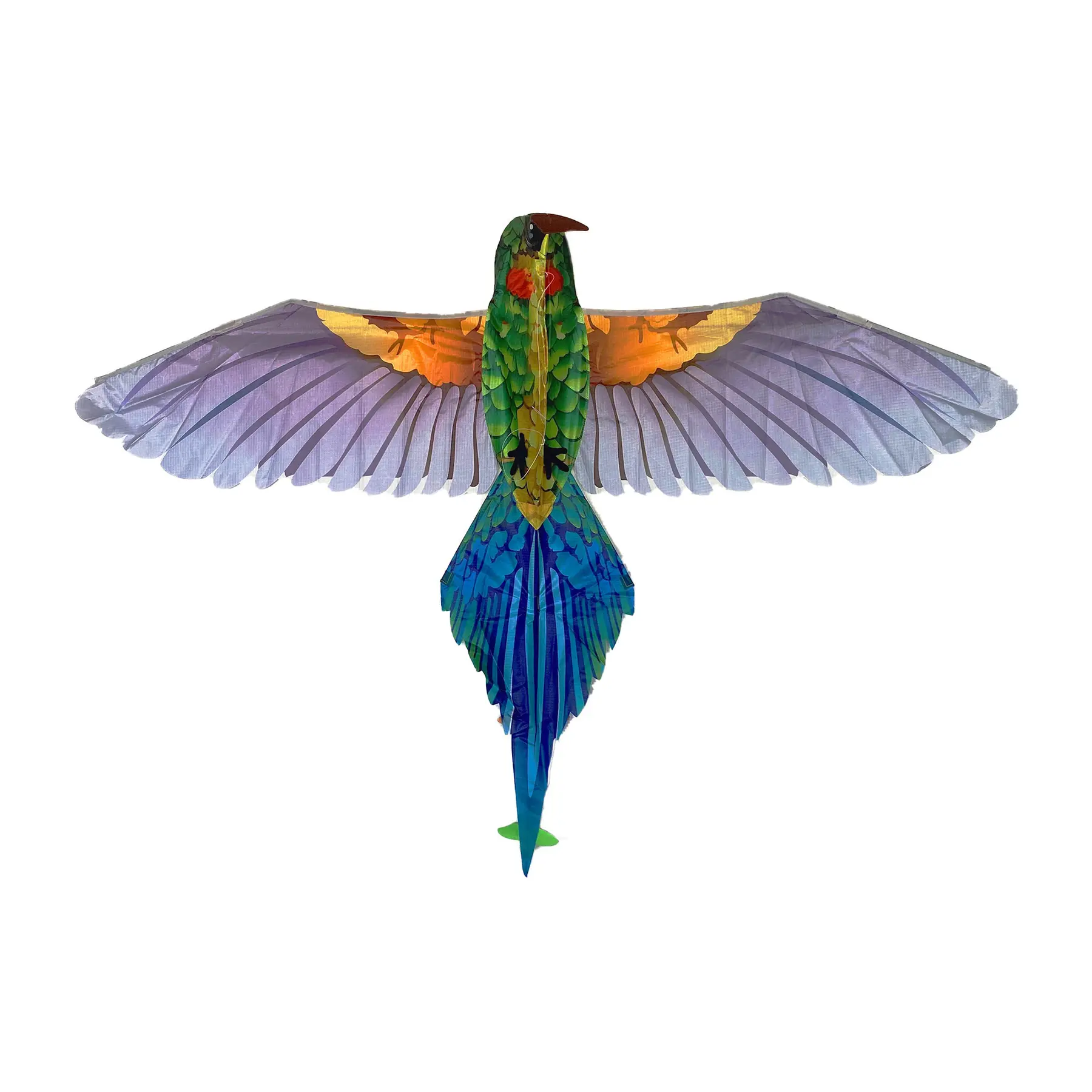 Kite uccello tropicale Icare Distribution