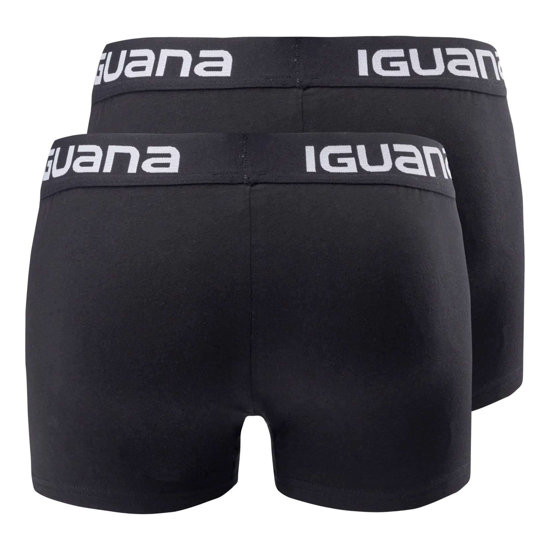 Boxer Iguana Melvo (x2)