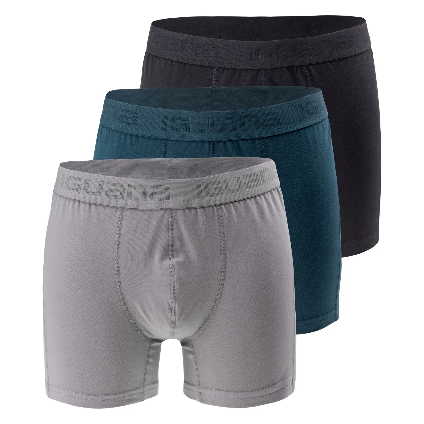 Boxer Iguana Presto (x3)