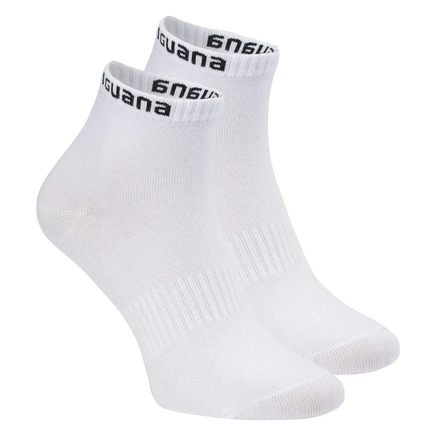 Socken Iguana Crew Igino (x3)