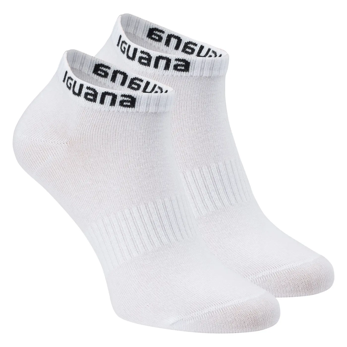 Knöchel-Socken Iguana Igino (x3)