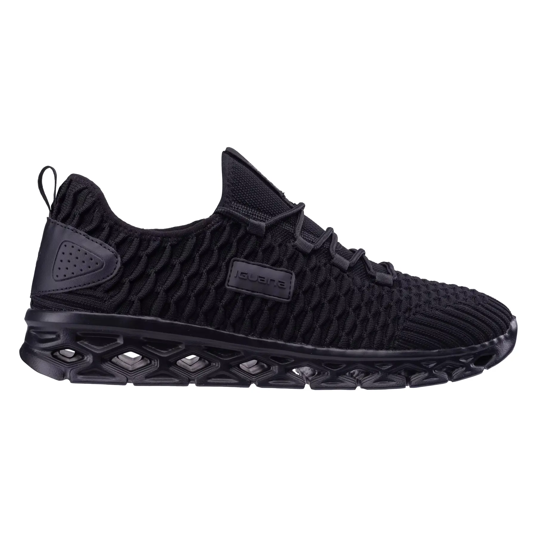 Sneakers Iguana Cloudy