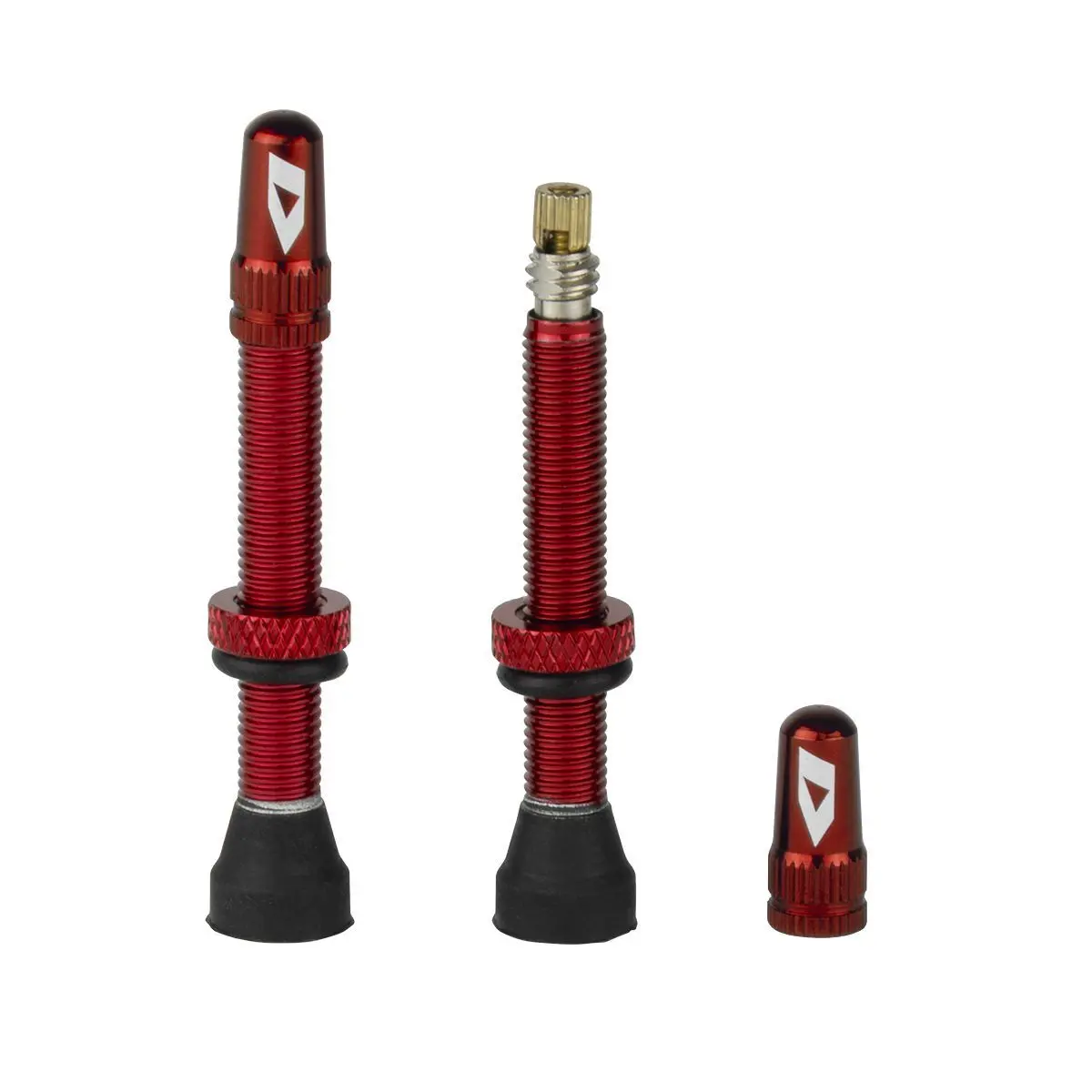 Tubeless-Ventil Ikon