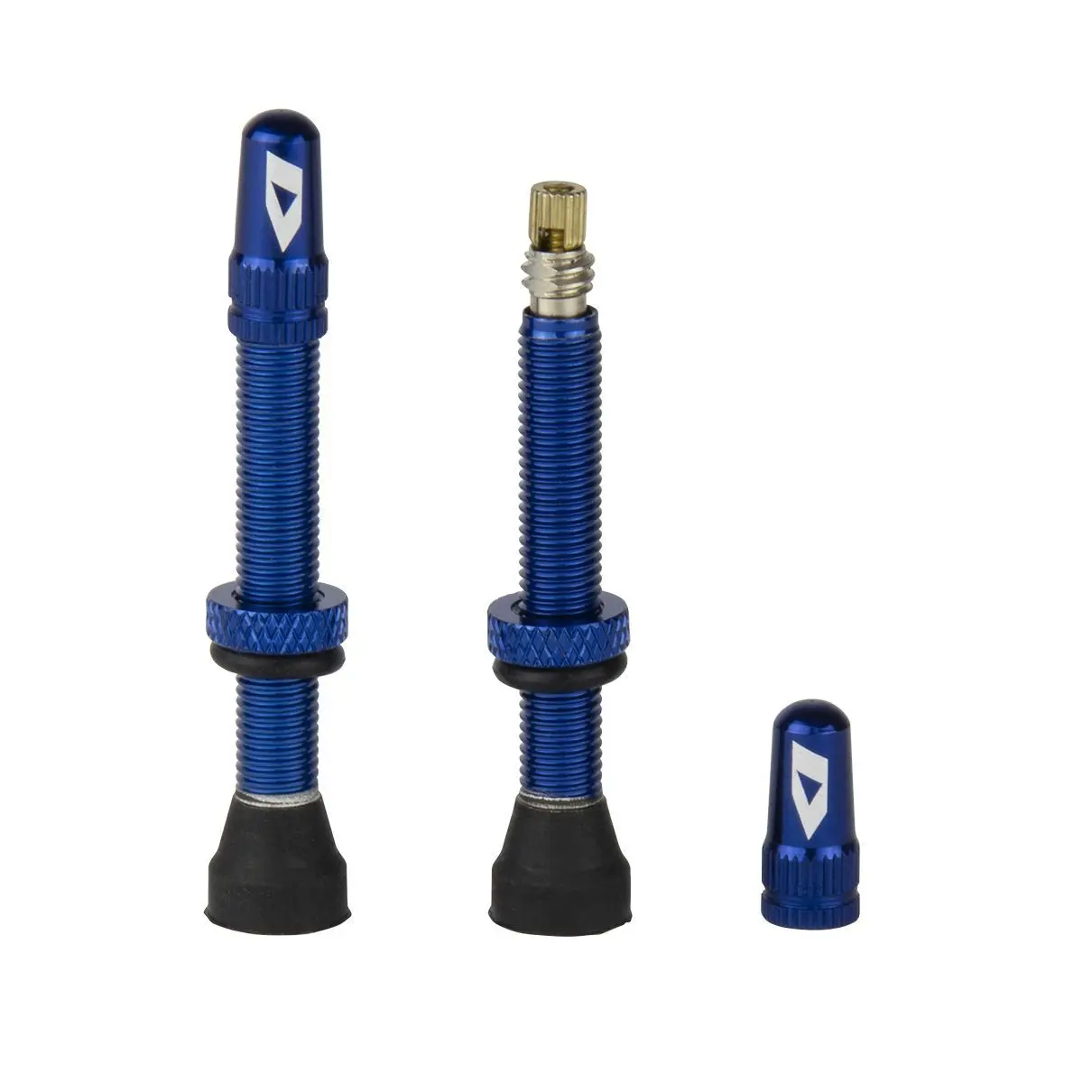 Tubeless-Ventil Ikon