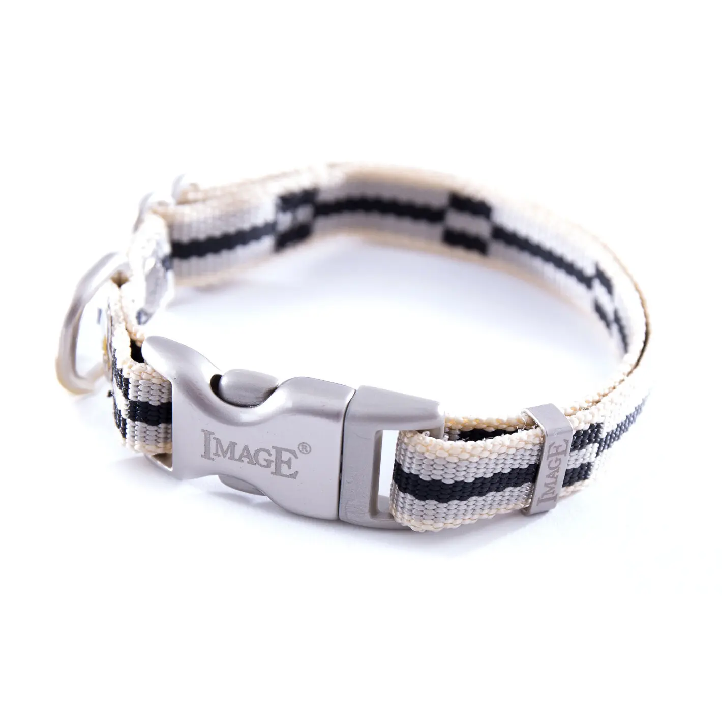 Dog collar Image Dream