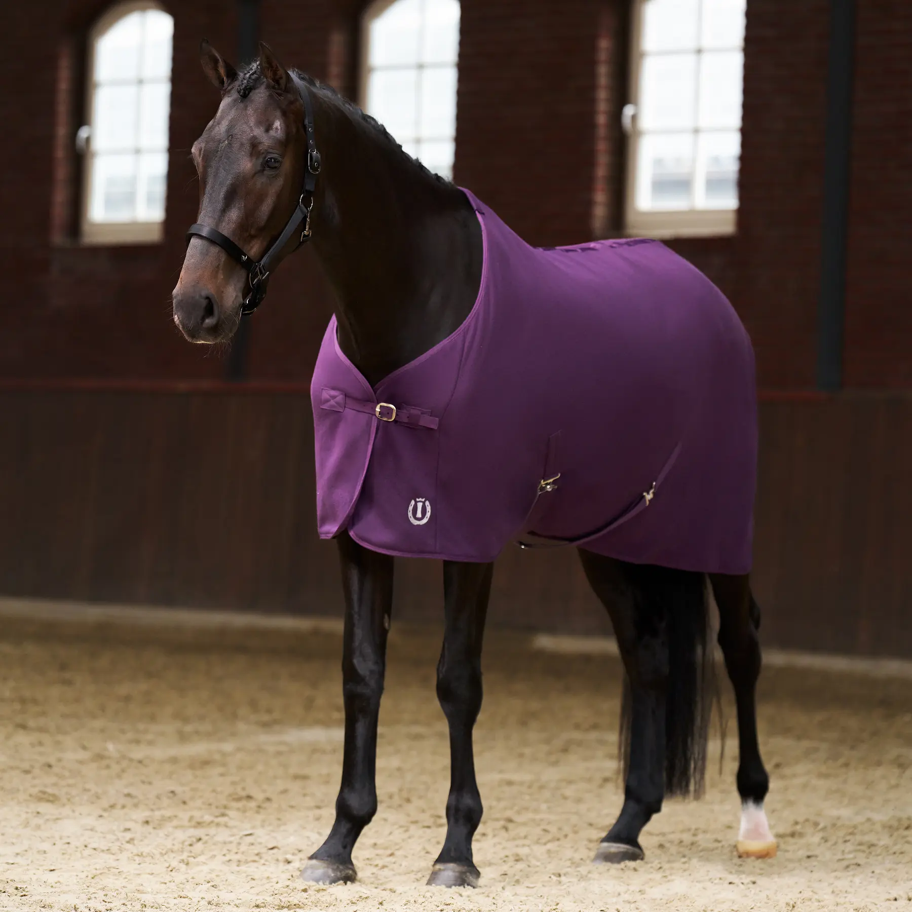 Imperial Riding Violet Fleecedecke Für Pferde Fundamental 220G