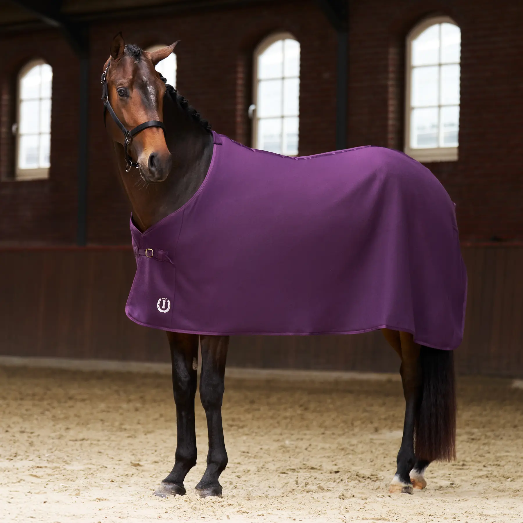 Imperial Riding Violet Fleecedecke Für Pferde Fundamental Basic