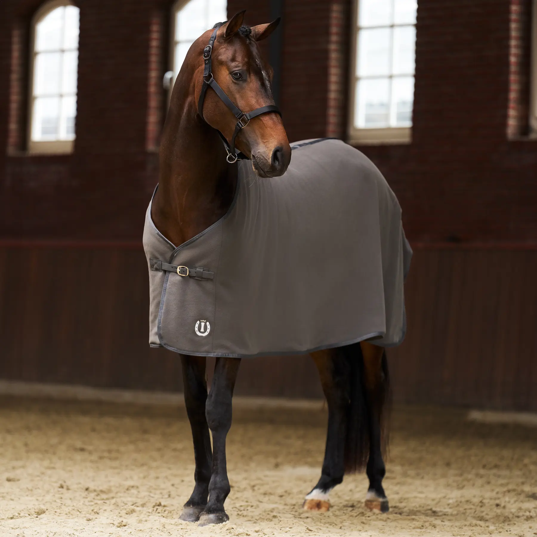 Imperial Riding Gris Fleecedecke Für Pferde Fundamental Basic