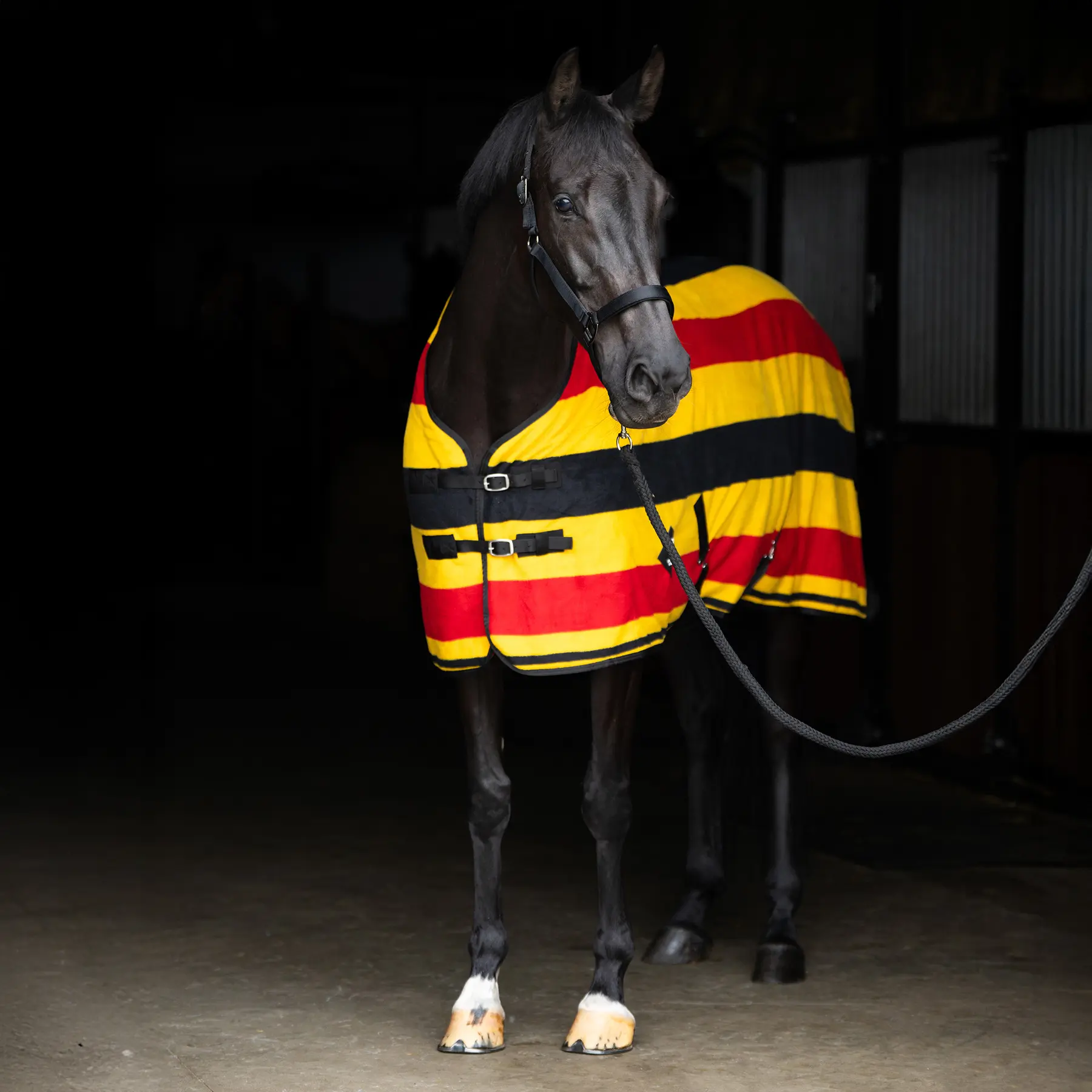 Trocknende Fleecedecke für Pferde Imperial Riding Stripe