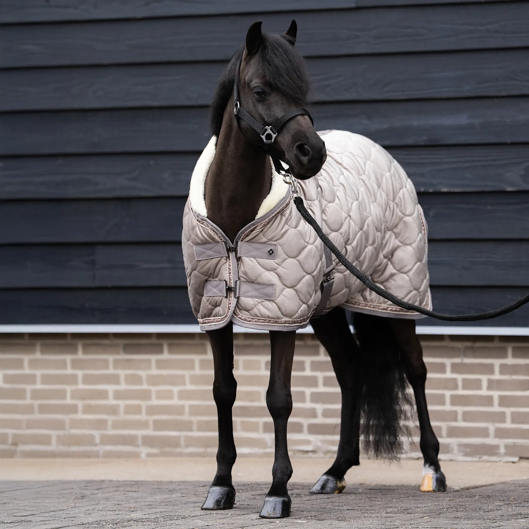 Imperial Riding Shetlandertuig Eenvoudig Mini