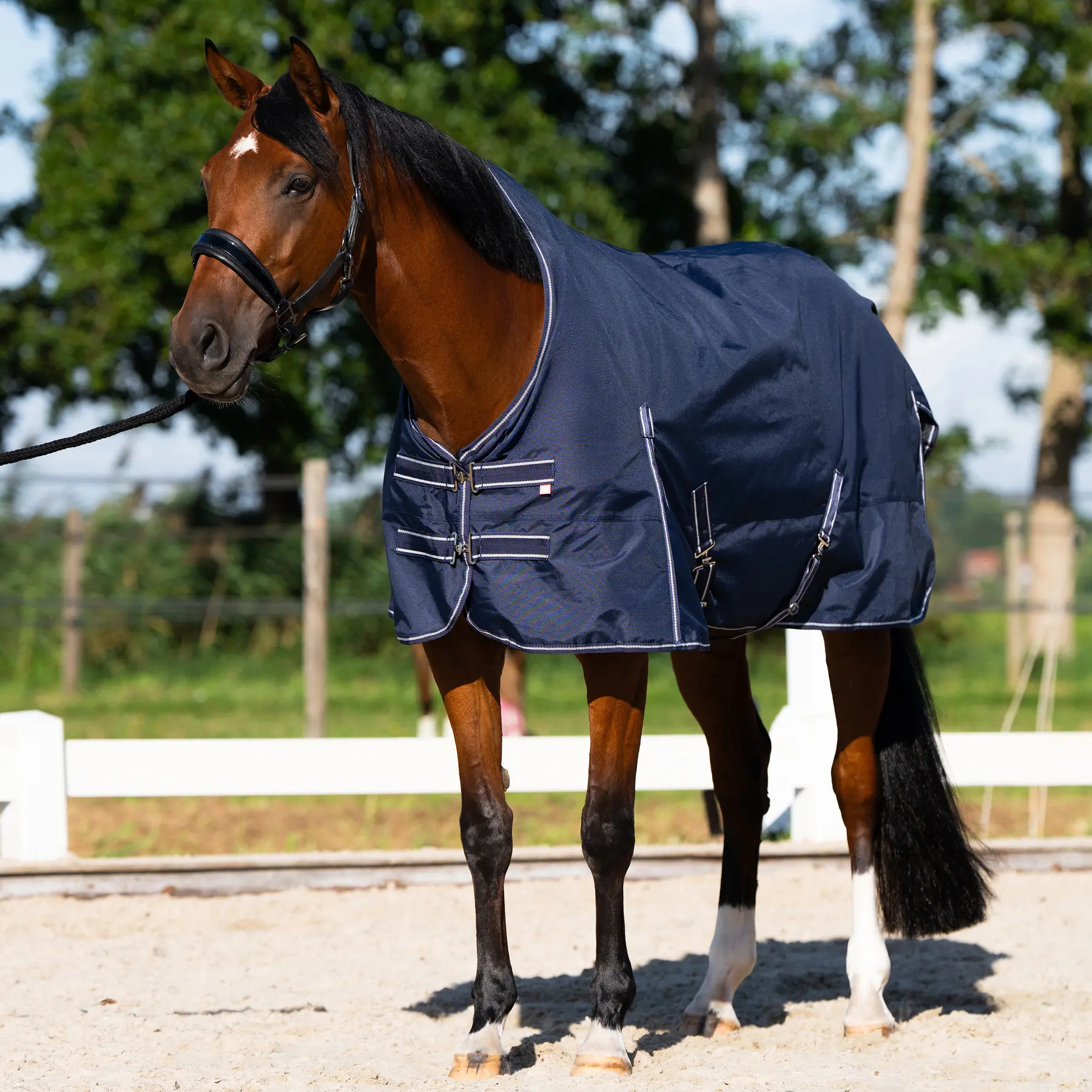 Imperial Riding Bleu Outdoor Blanket Basic 200G