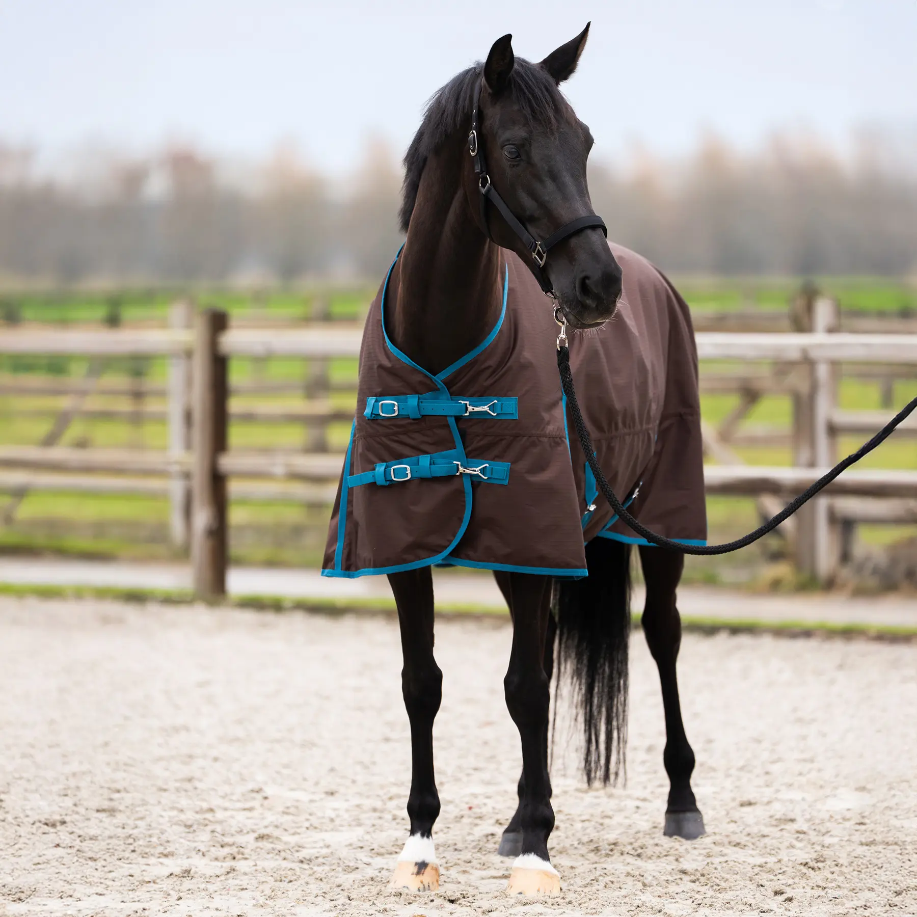 Outdoor-Decke für Pferde mit Halsabdeckung Imperial Riding Limited