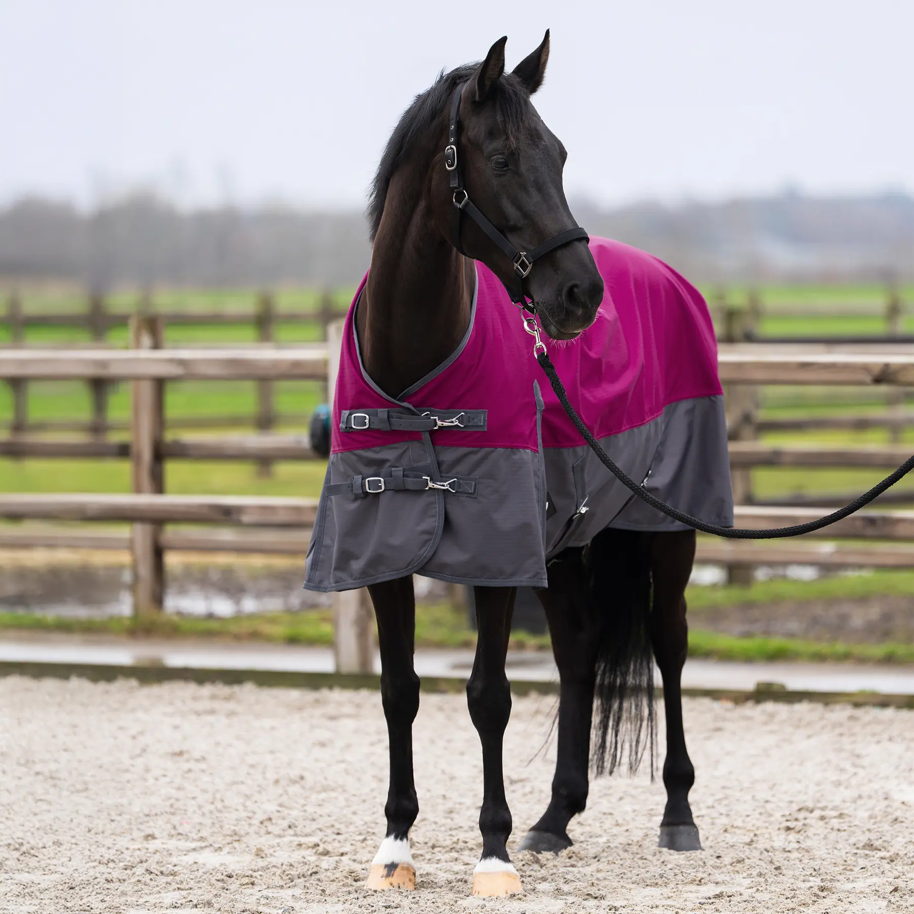 Outdoor  Blanket with neck cover Imperial Riding Limited Summer
