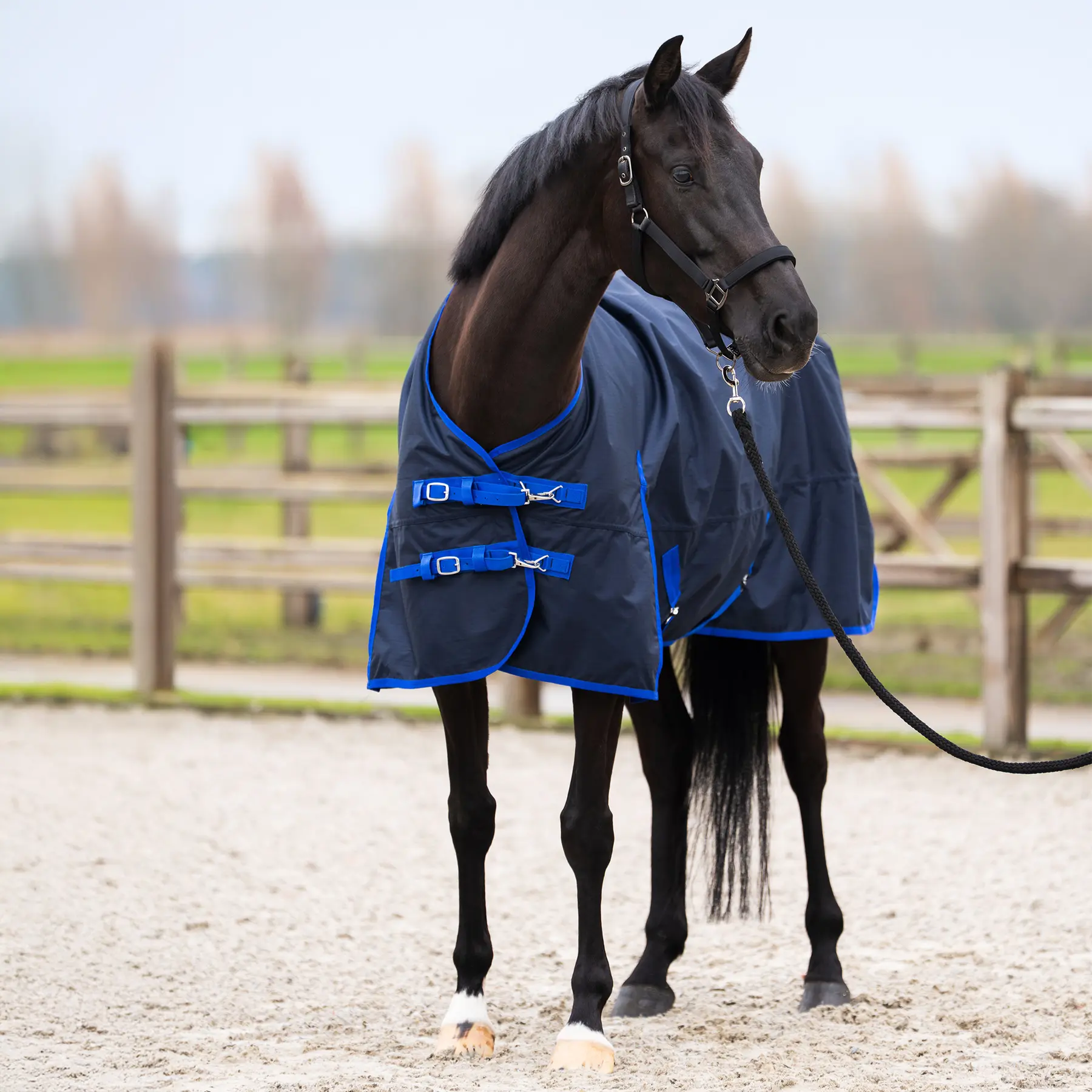 Outdoor-Decke für Pferde mit Halsabdeckung Imperial Riding Limited Summer