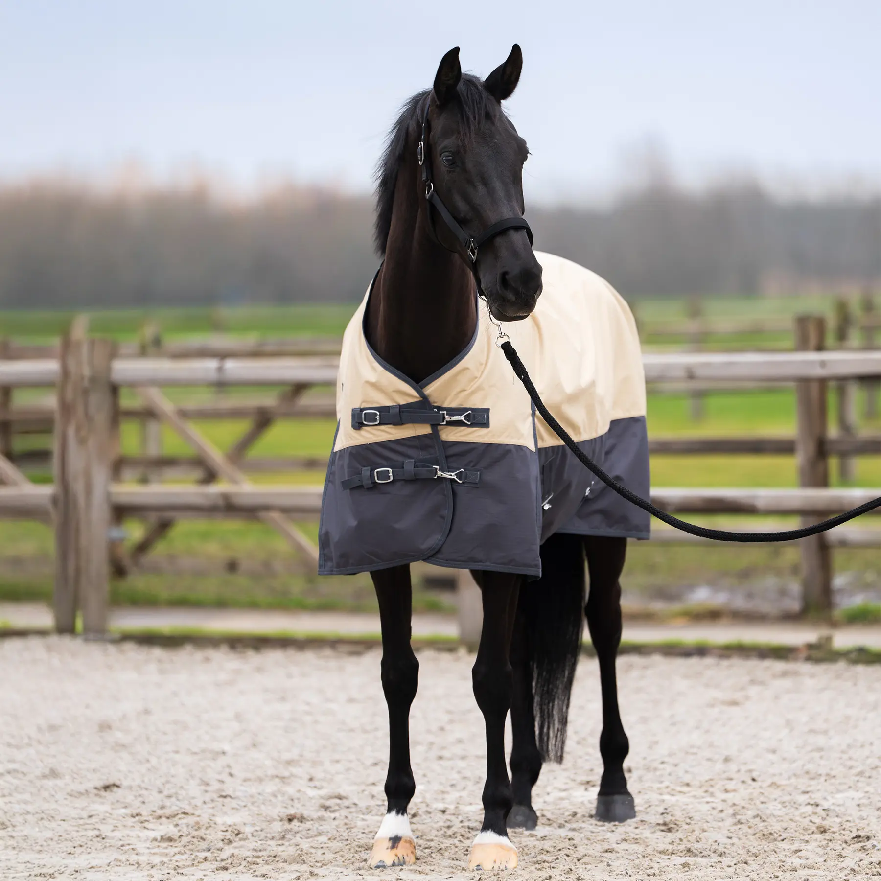 Outdoor-Decke für Pferde Imperial Riding Limited 100 g