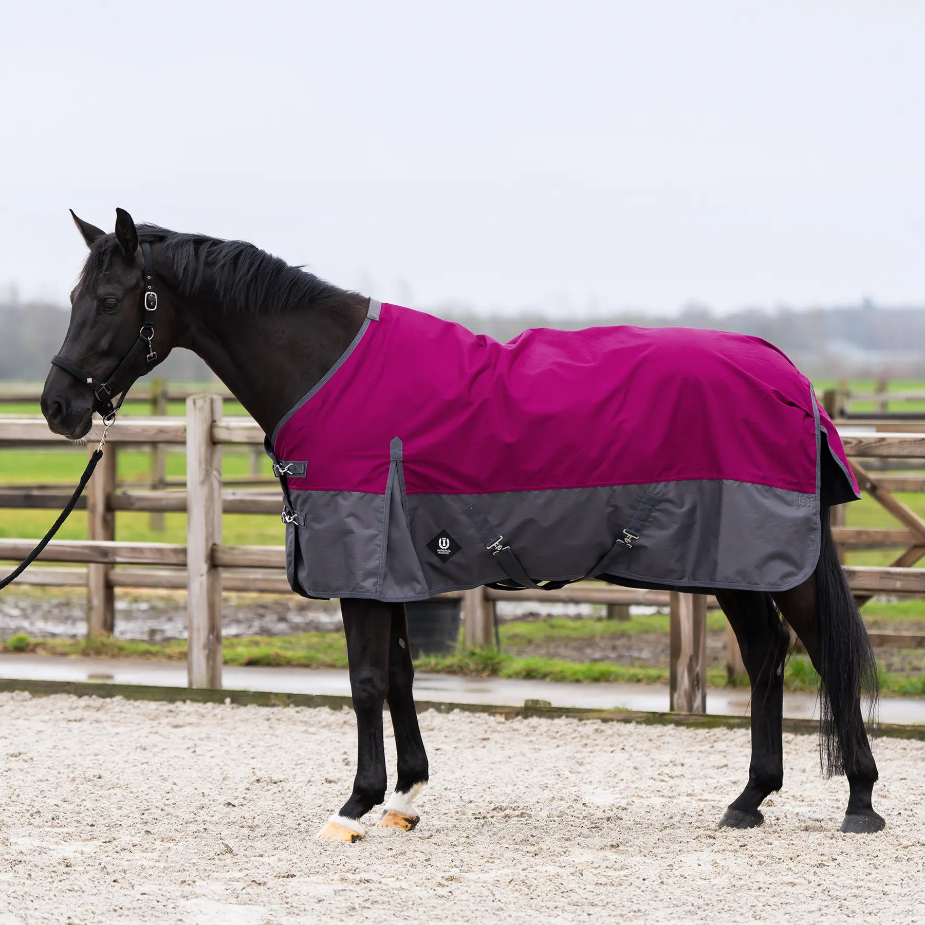 Outdoor-Decke für Pferde Imperial Riding Limited 100 g