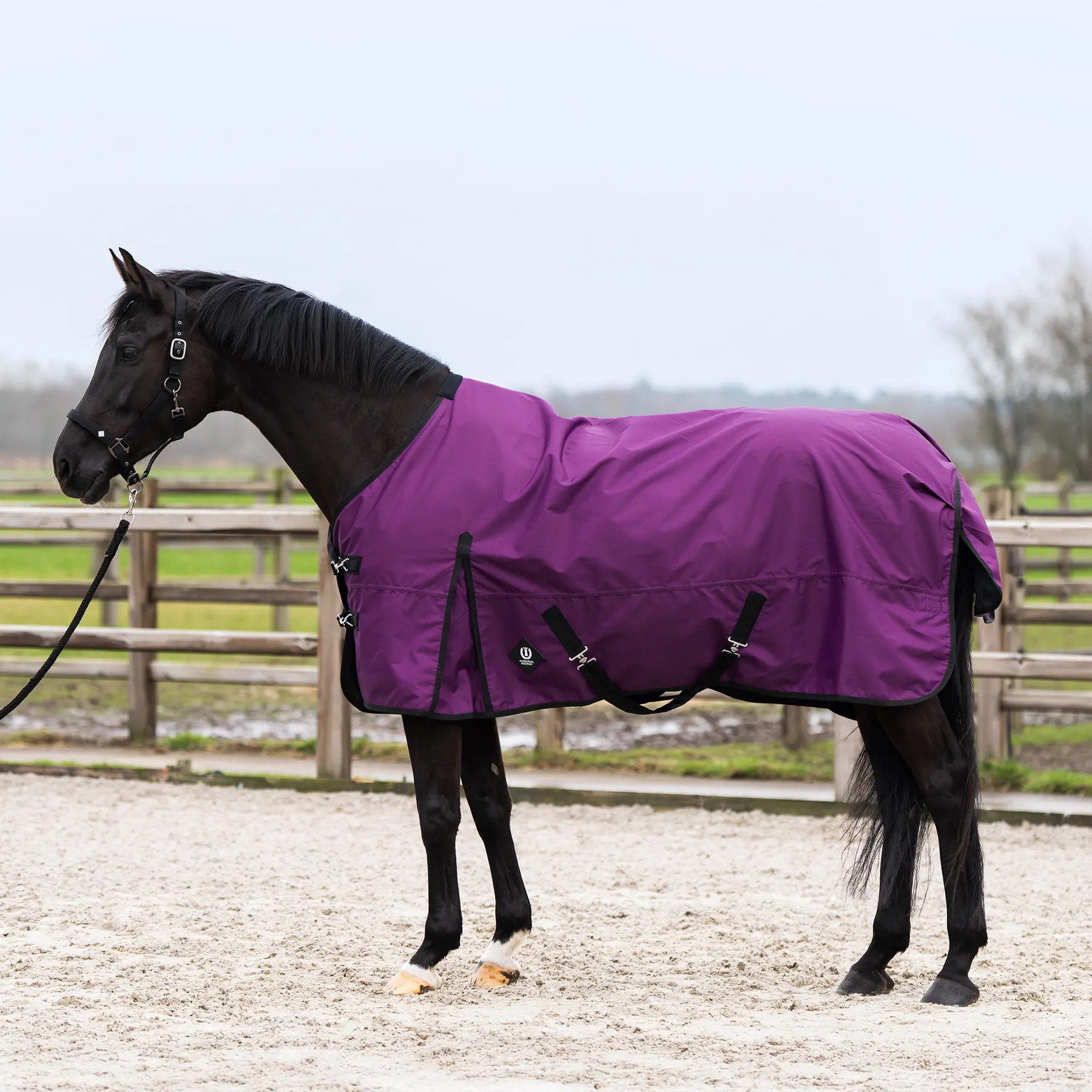 Outdoor-Decke für Pferde Imperial Riding Limited 100 g