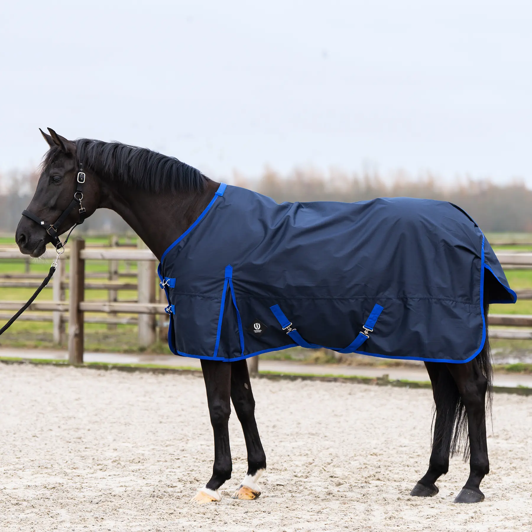 Outdoor-Decke für Pferde Imperial Riding Limited 100 g