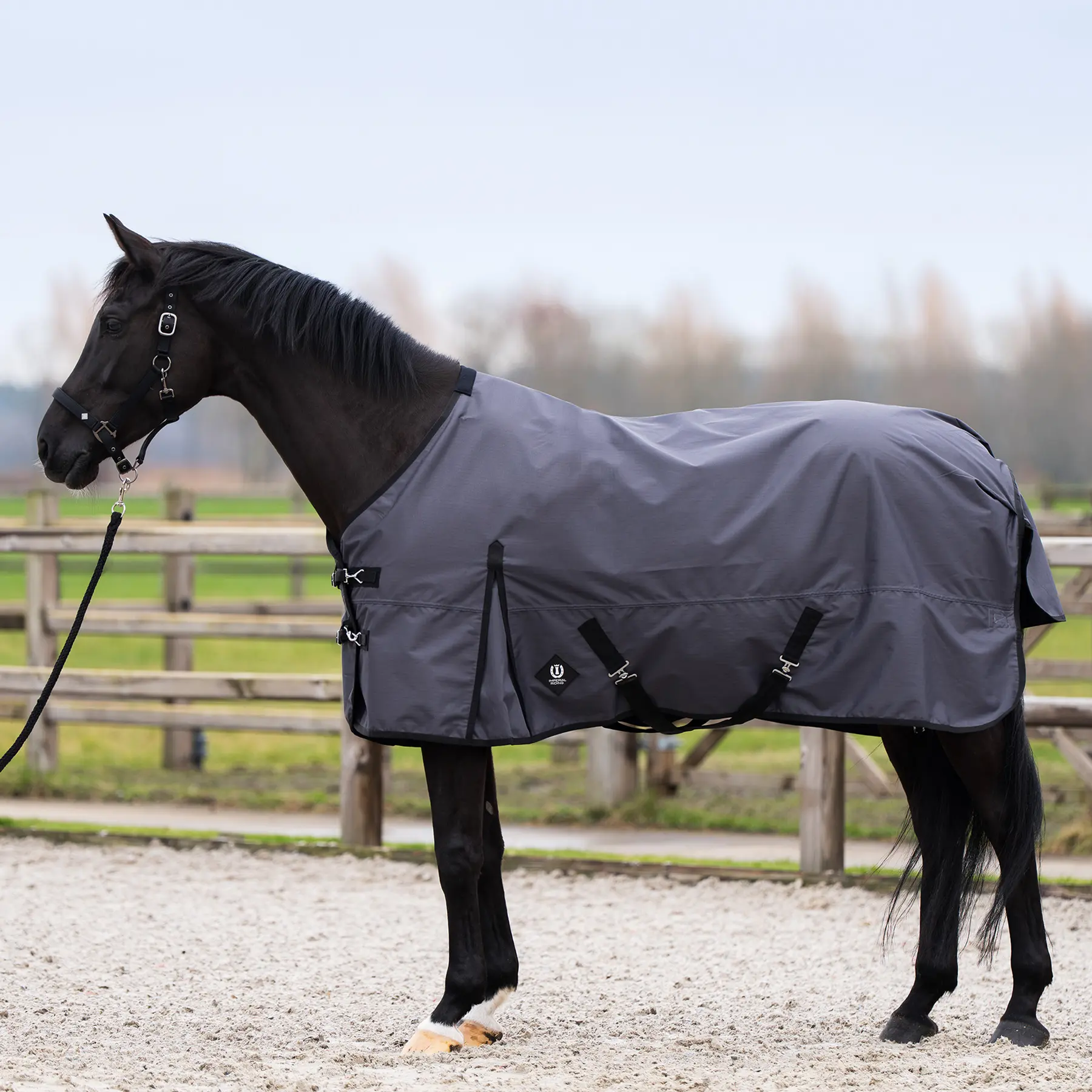 Outdoor-Decke für Pferde Imperial Riding Limited 100 g