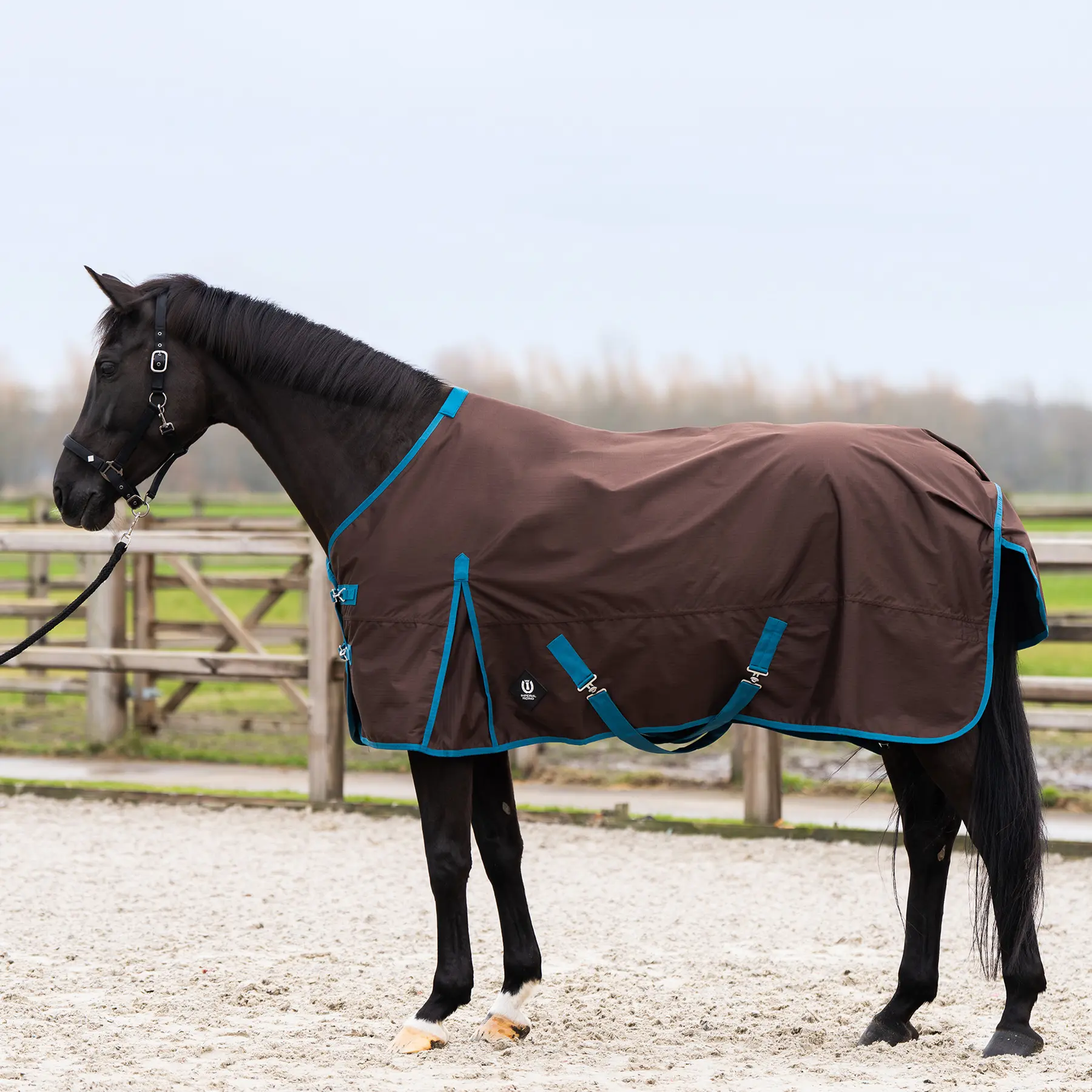 Outdoor-Decke für Pferde Imperial Riding Limited 100 g