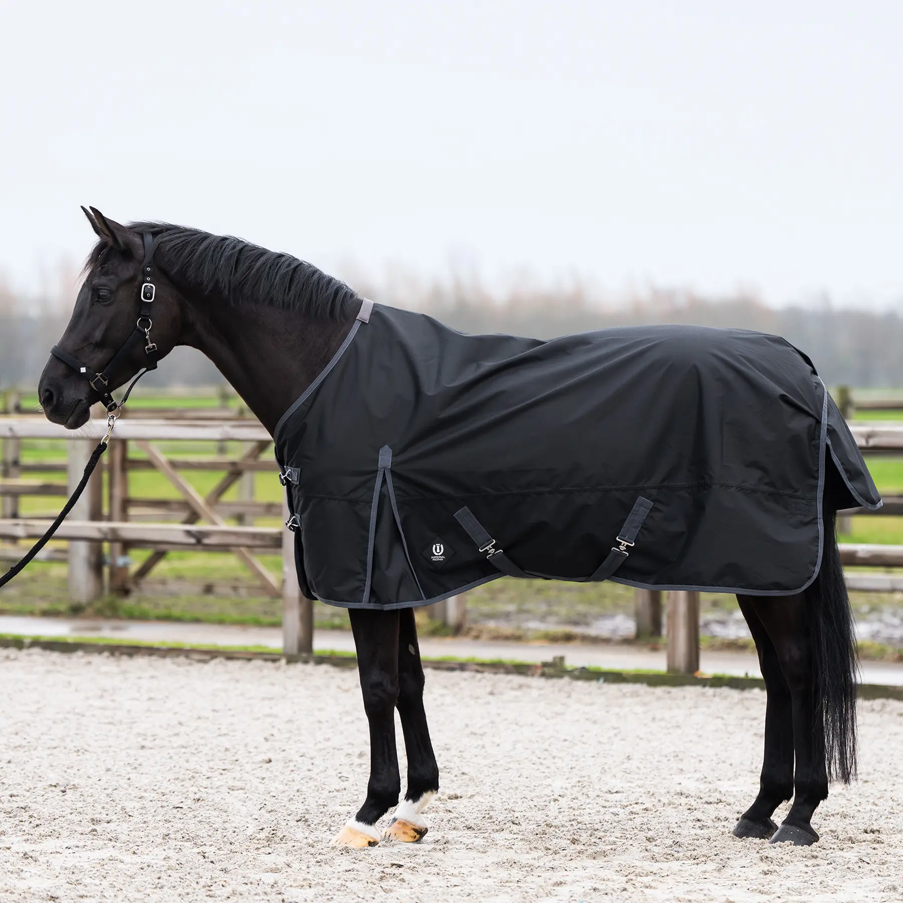 Outdoor-Decke für Pferde Imperial Riding Limited 100 g