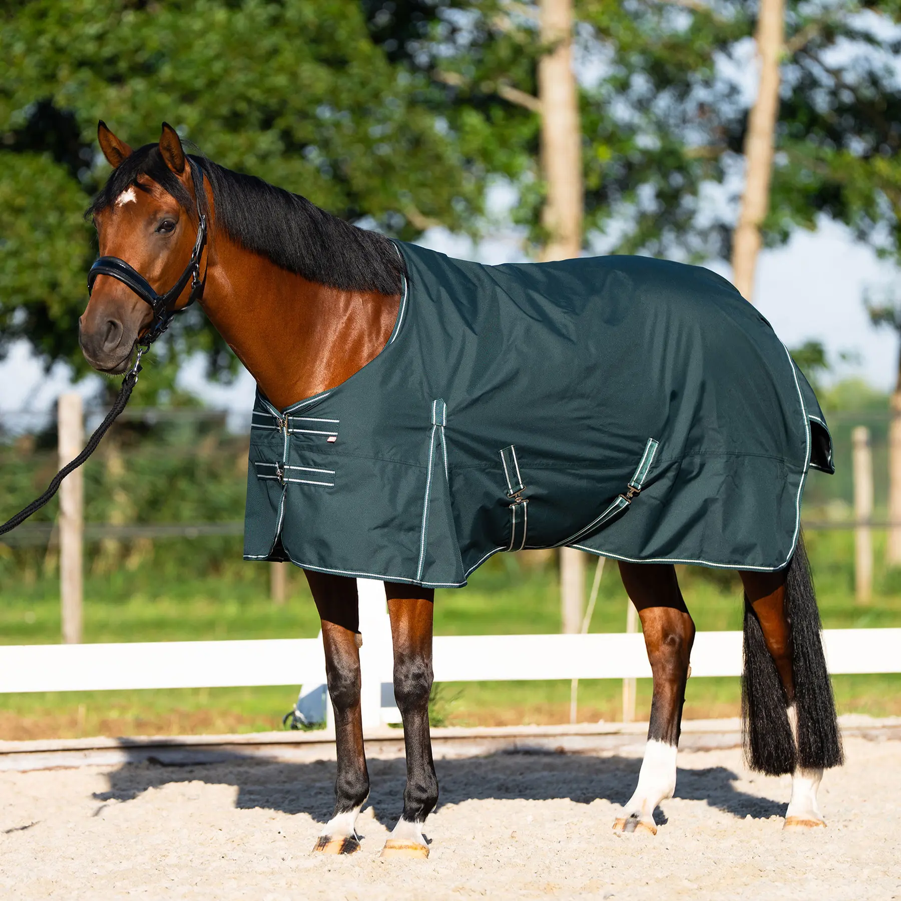 Imperial Riding Vert Outdoor Blanket Basic