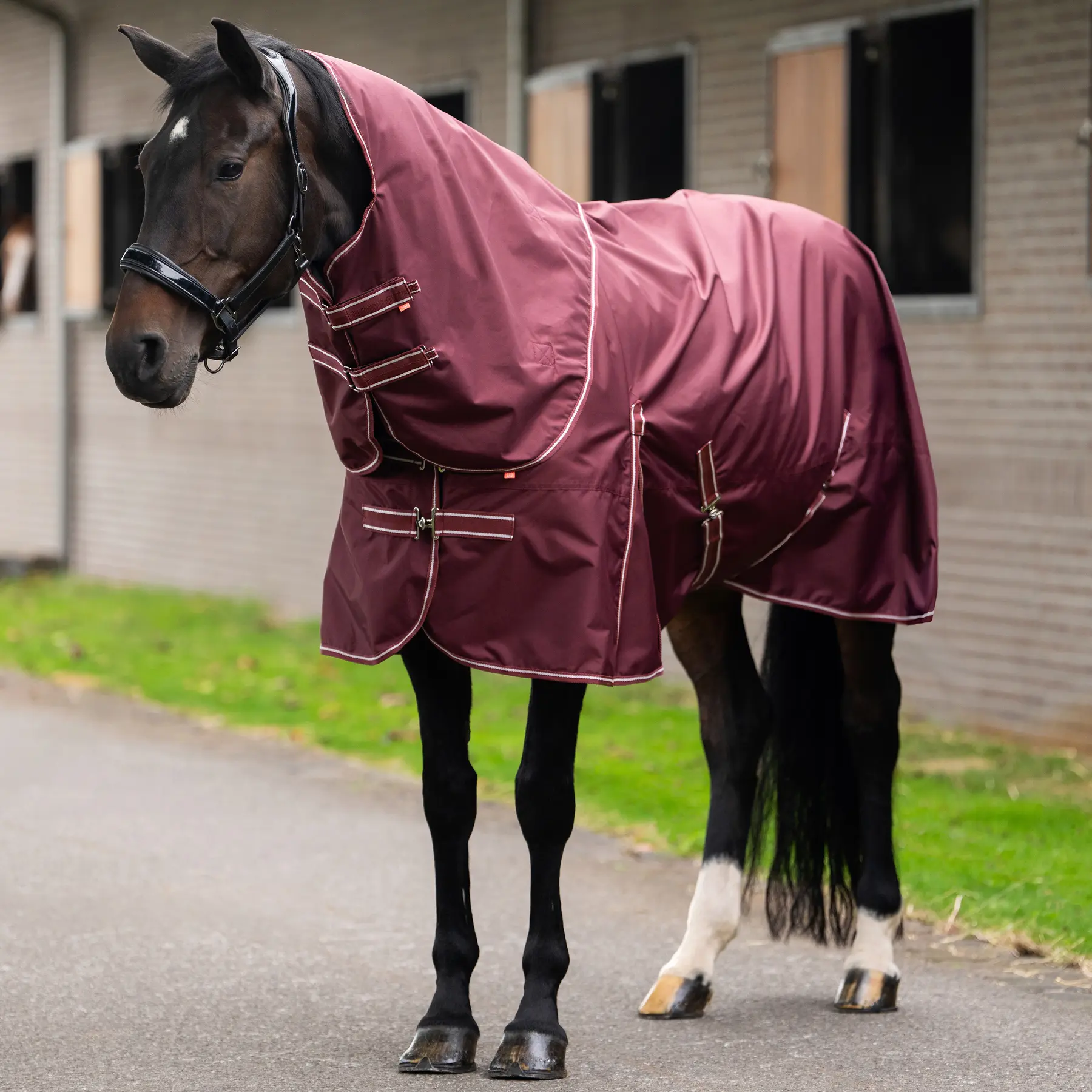 Imperial Riding Rouge Outdoor Blanket Basic Summer