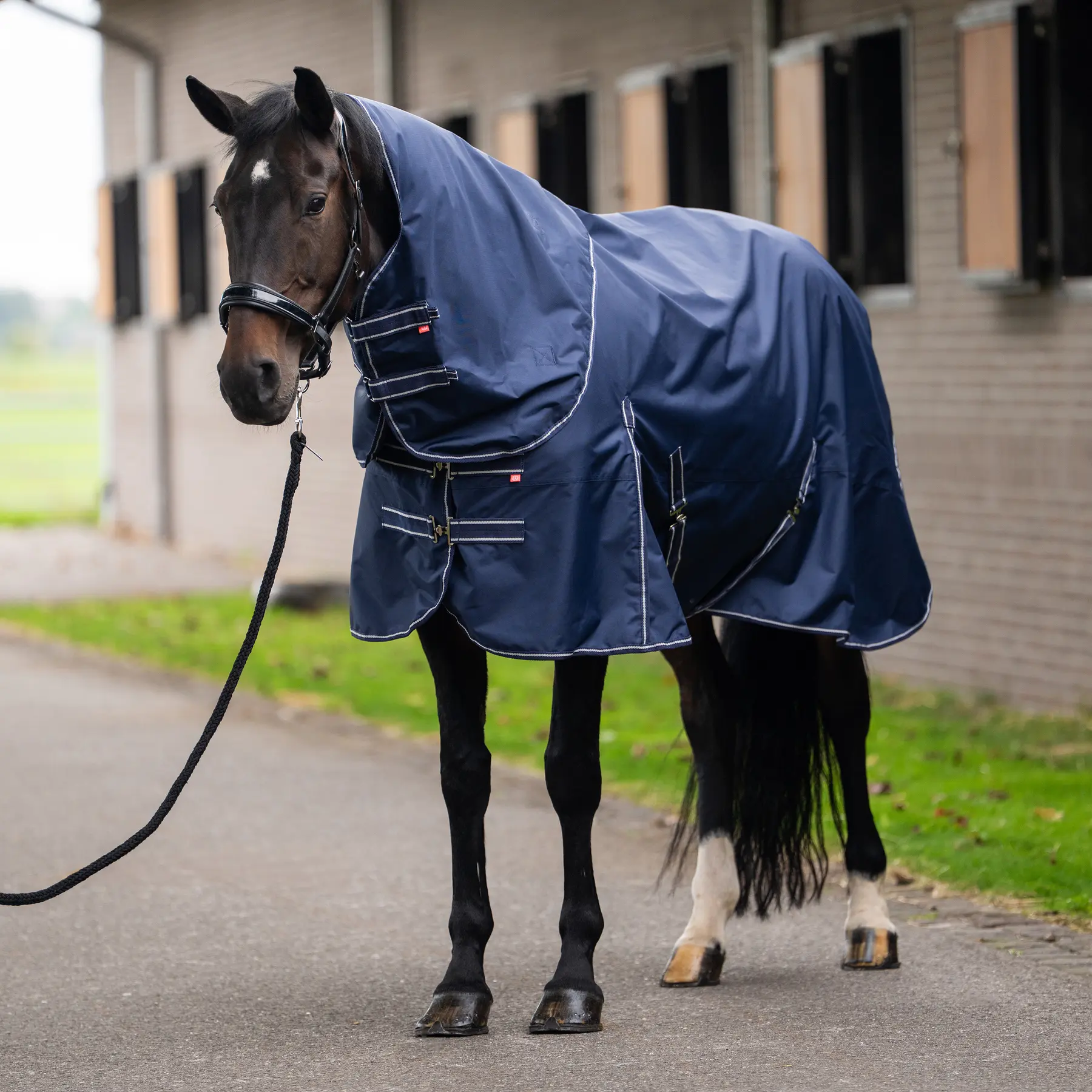 Imperial Riding Bleu Outdoor Blanket Basic Summer