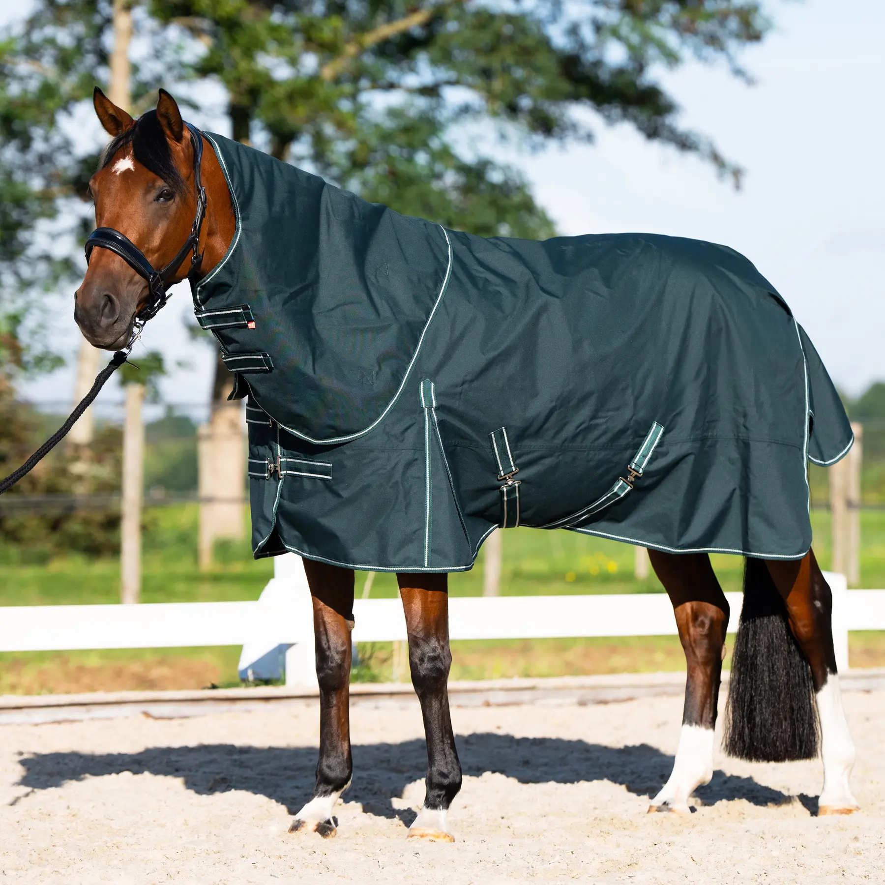 Imperial Riding Vert Outdoor Blanket Basic Summer
