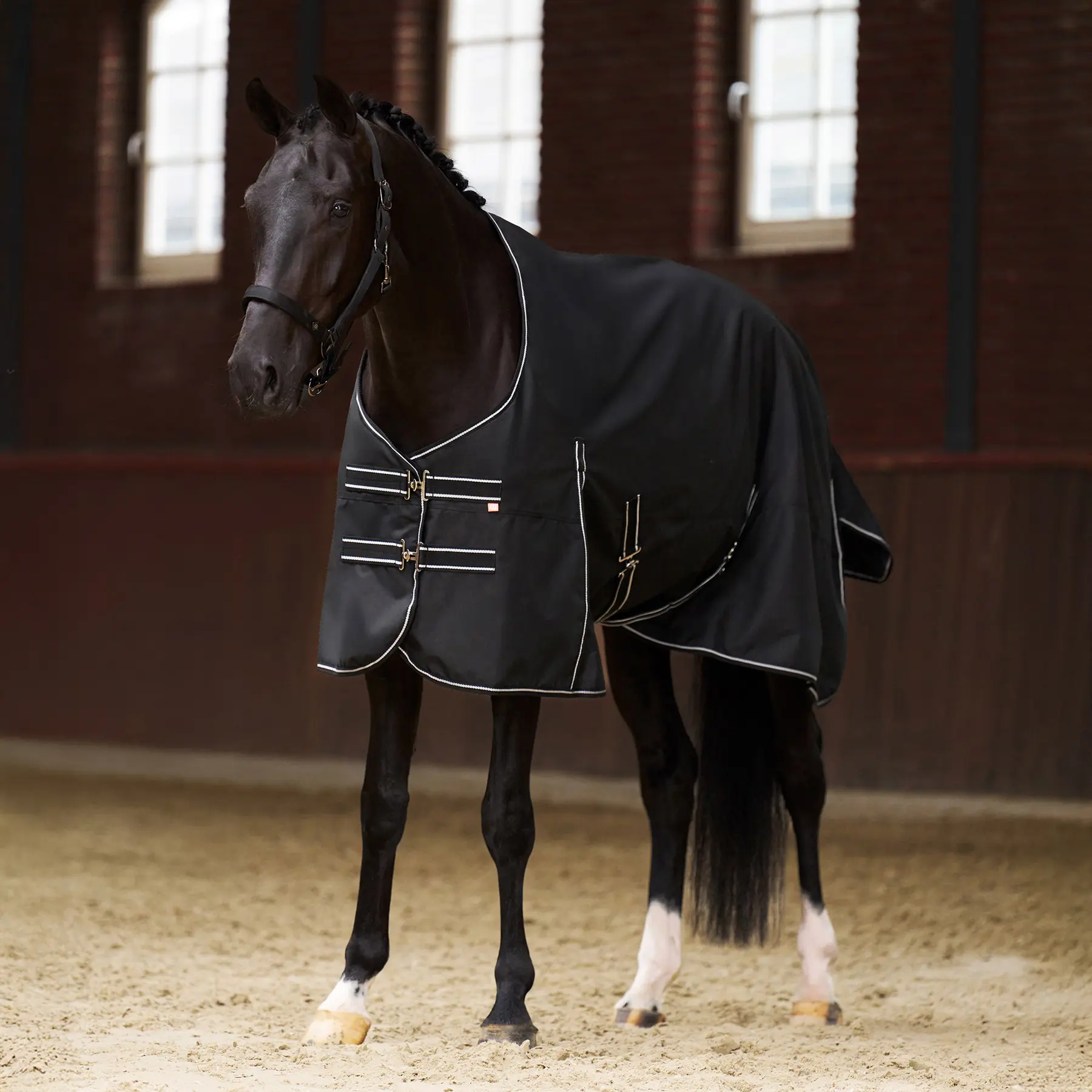 Imperial Riding Noir Outdoor Rug For Horse Without Neck Basic 300G
