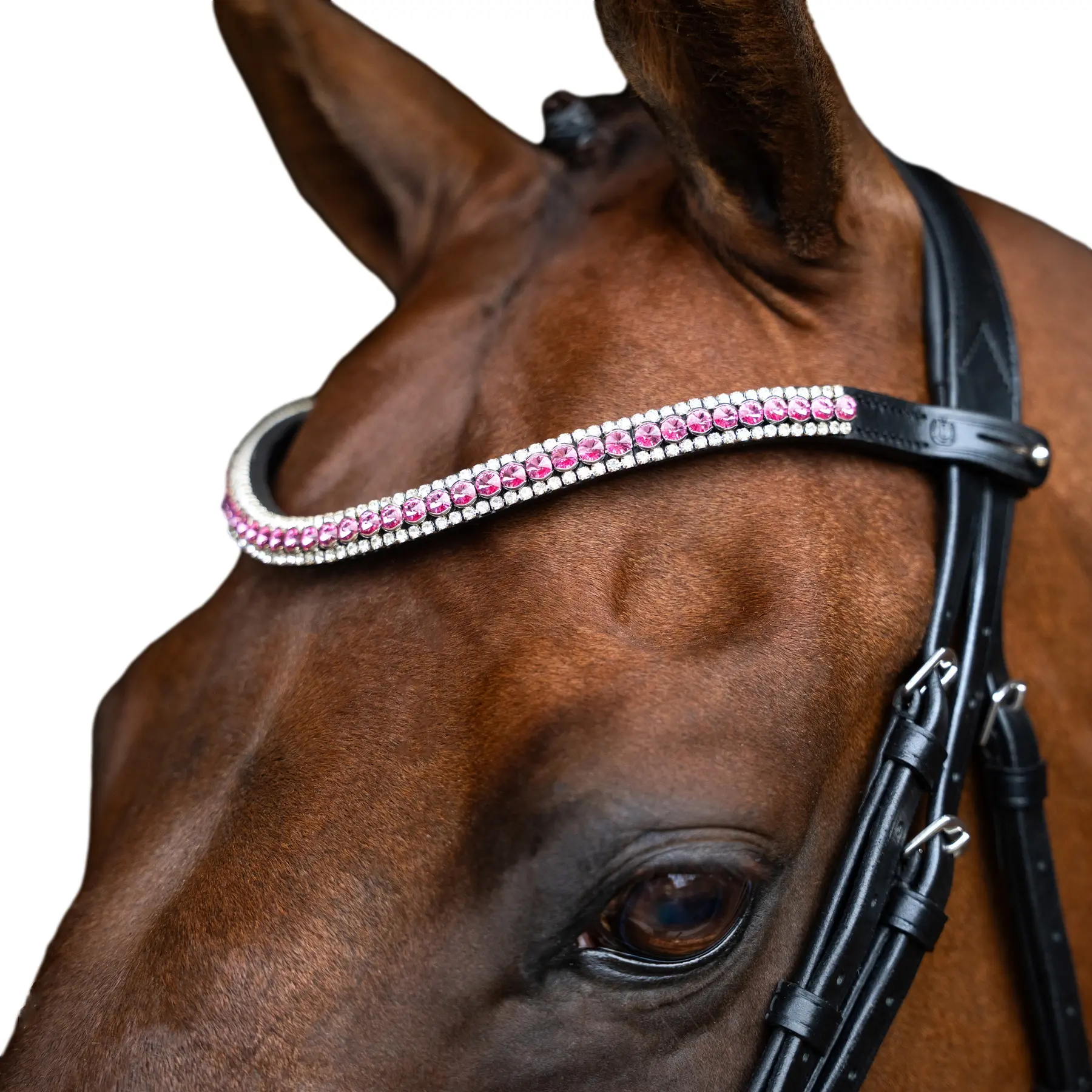 Frontal pour cheval Imperial Riding Beads