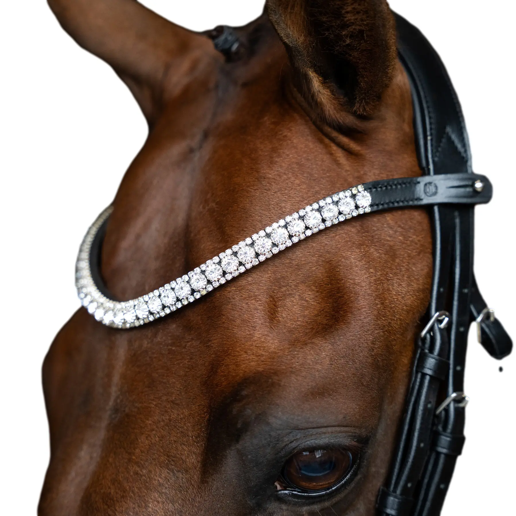 Frontal for horse Imperial Riding Slim