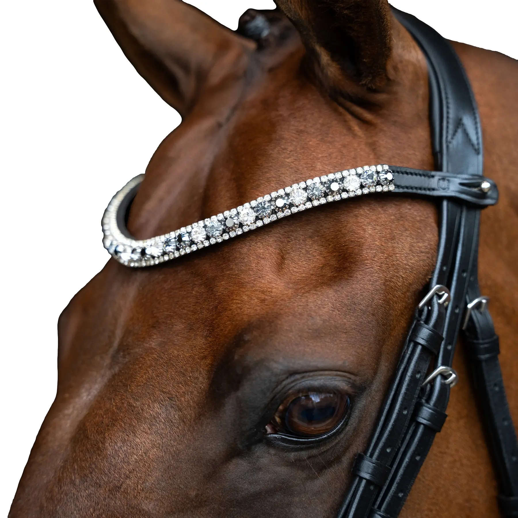 Frontal for horse Imperial Riding Slim